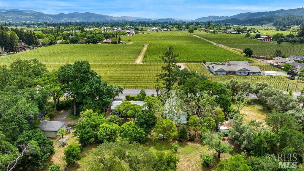 1446 Sulphur Springs Avenue