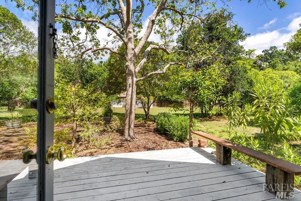 1446 Sulphur Springs Avenue