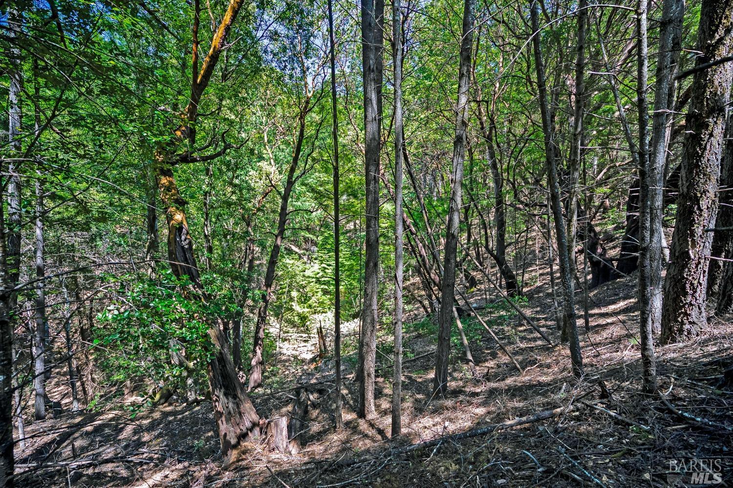 37355 Mountain View Road