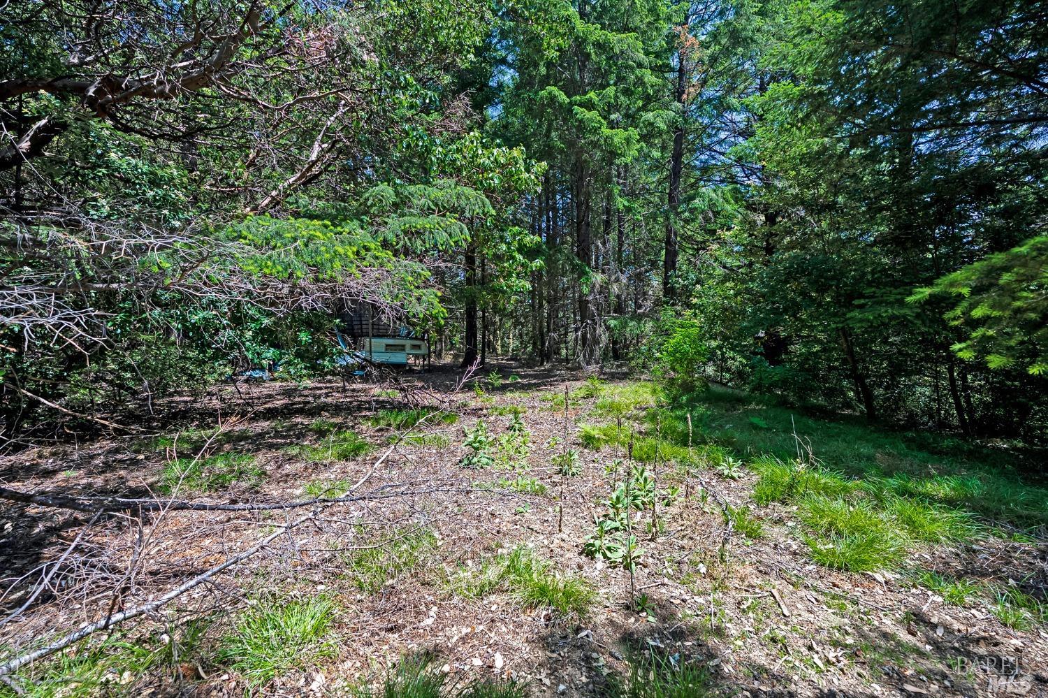 37355 Mountain View Road