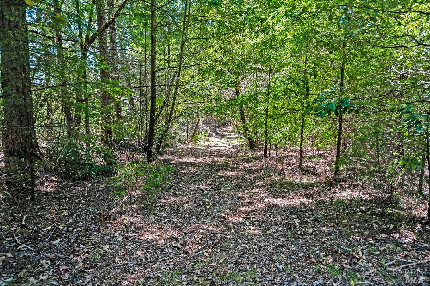 37355 Mountain View Road