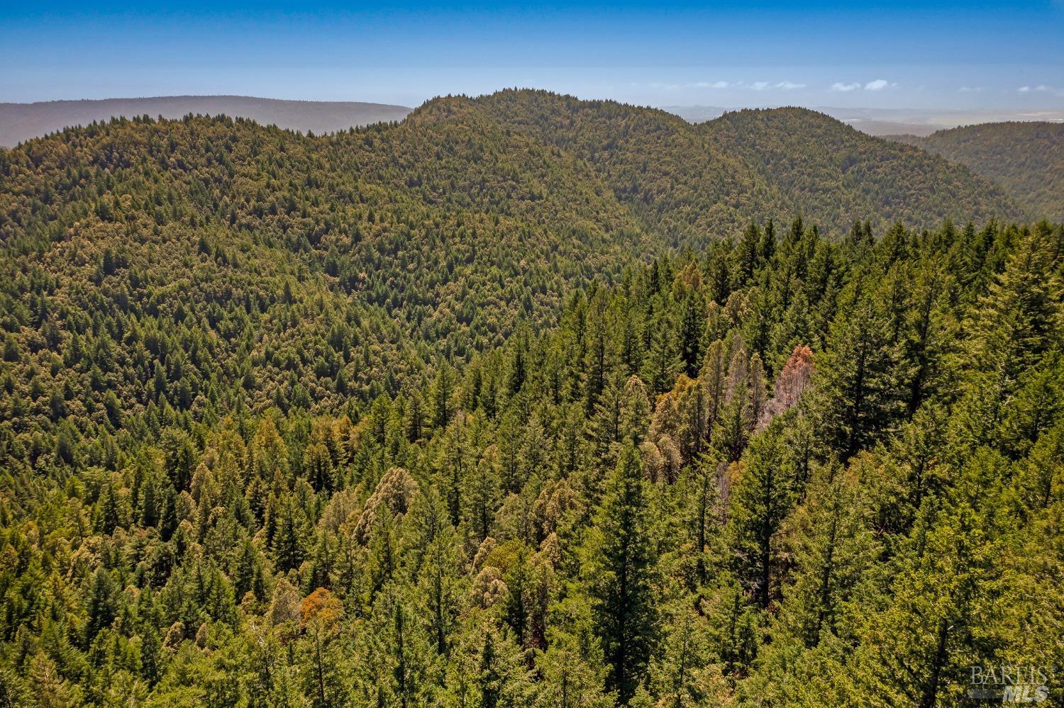 37355 Mountain View Road