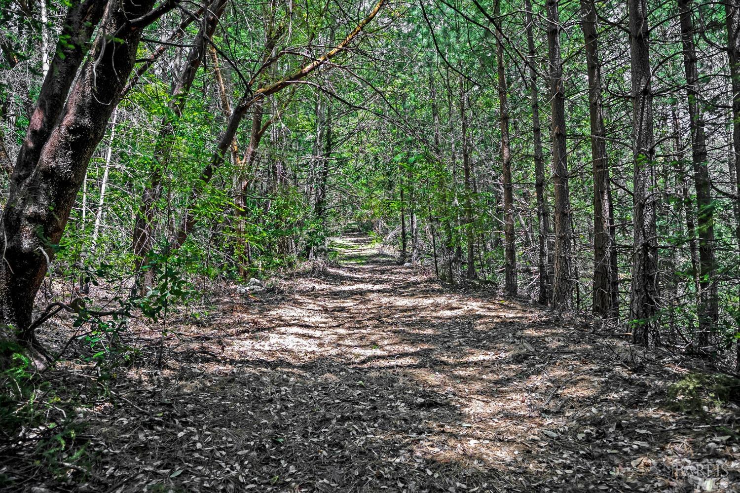 37355 Mountain View Road