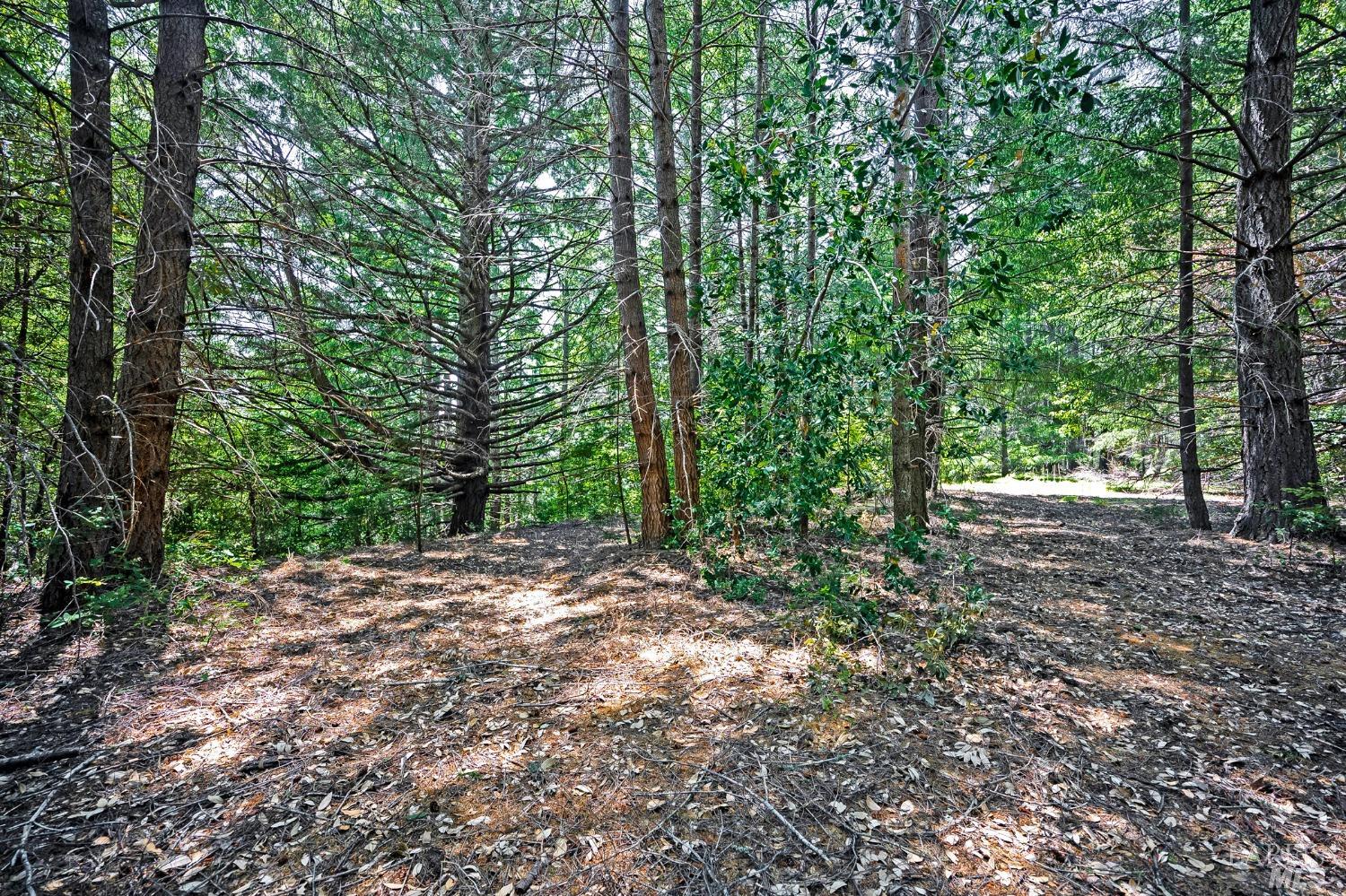 37355 Mountain View Road