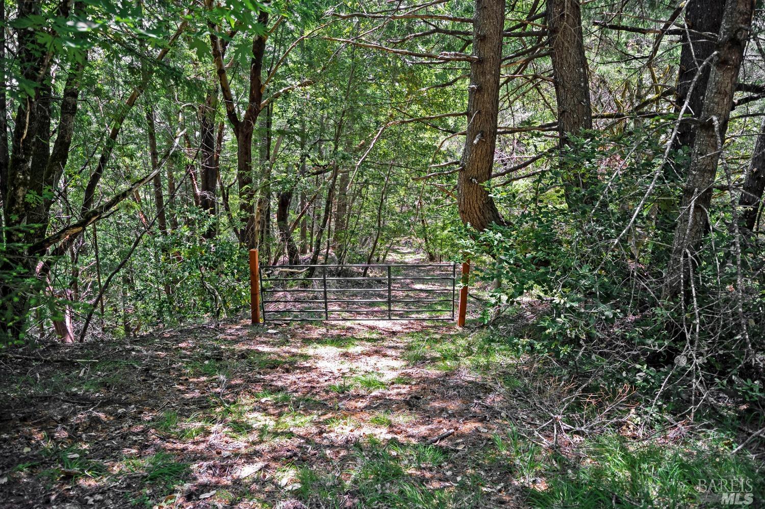 37355 Mountain View Road