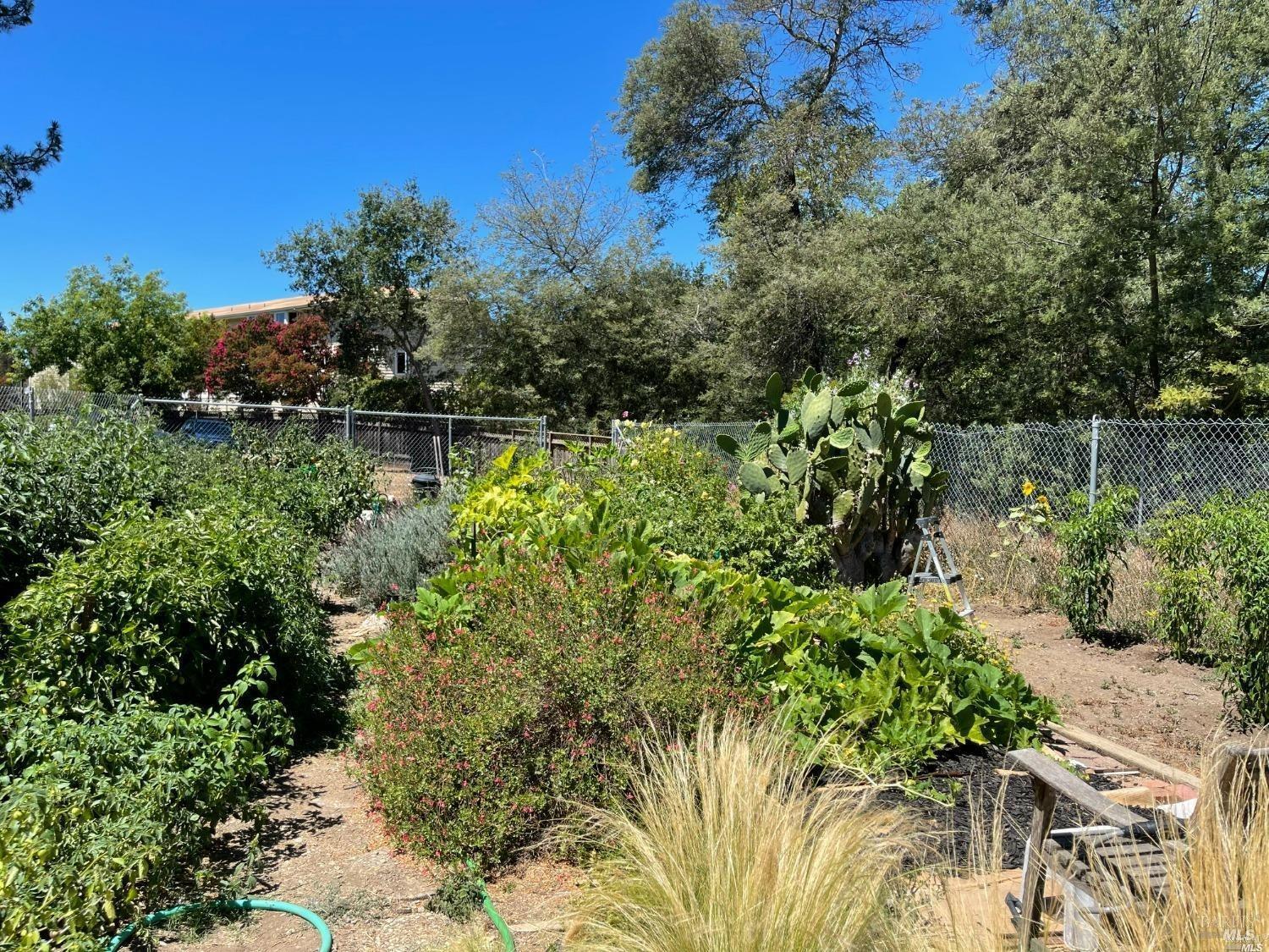 3483 Valle Verde Drive