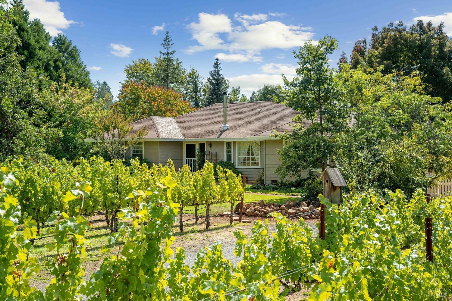 1215 Summit Lake Drive