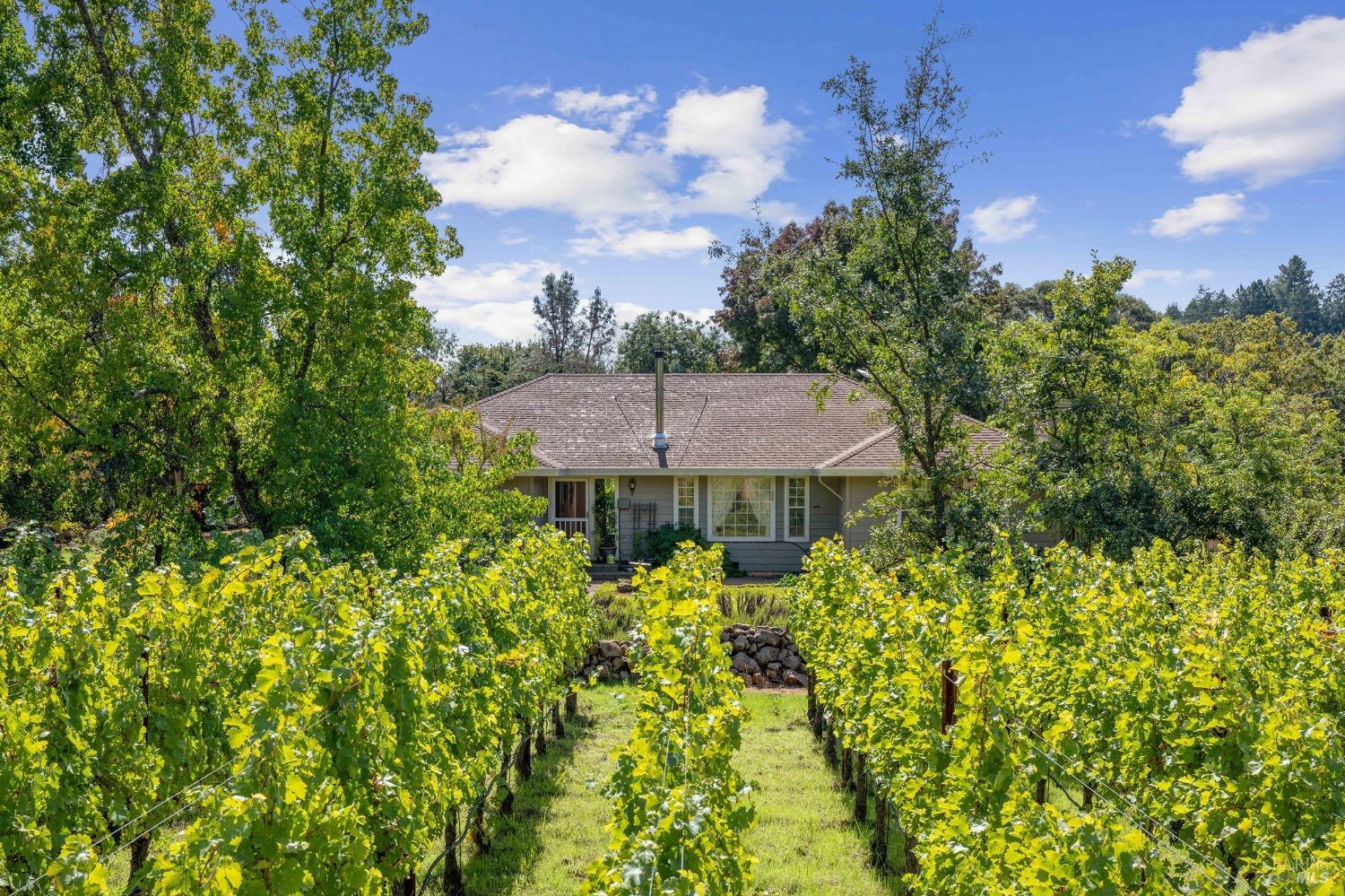 1215 Summit Lake Drive