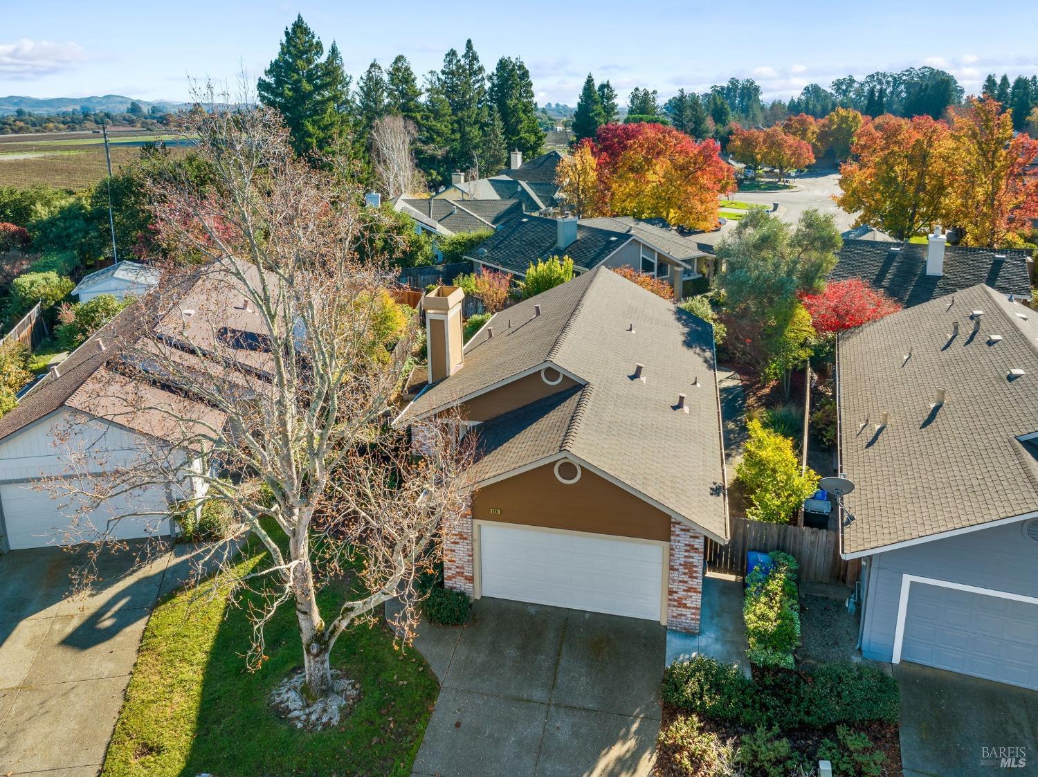 1231 Herbazal Street