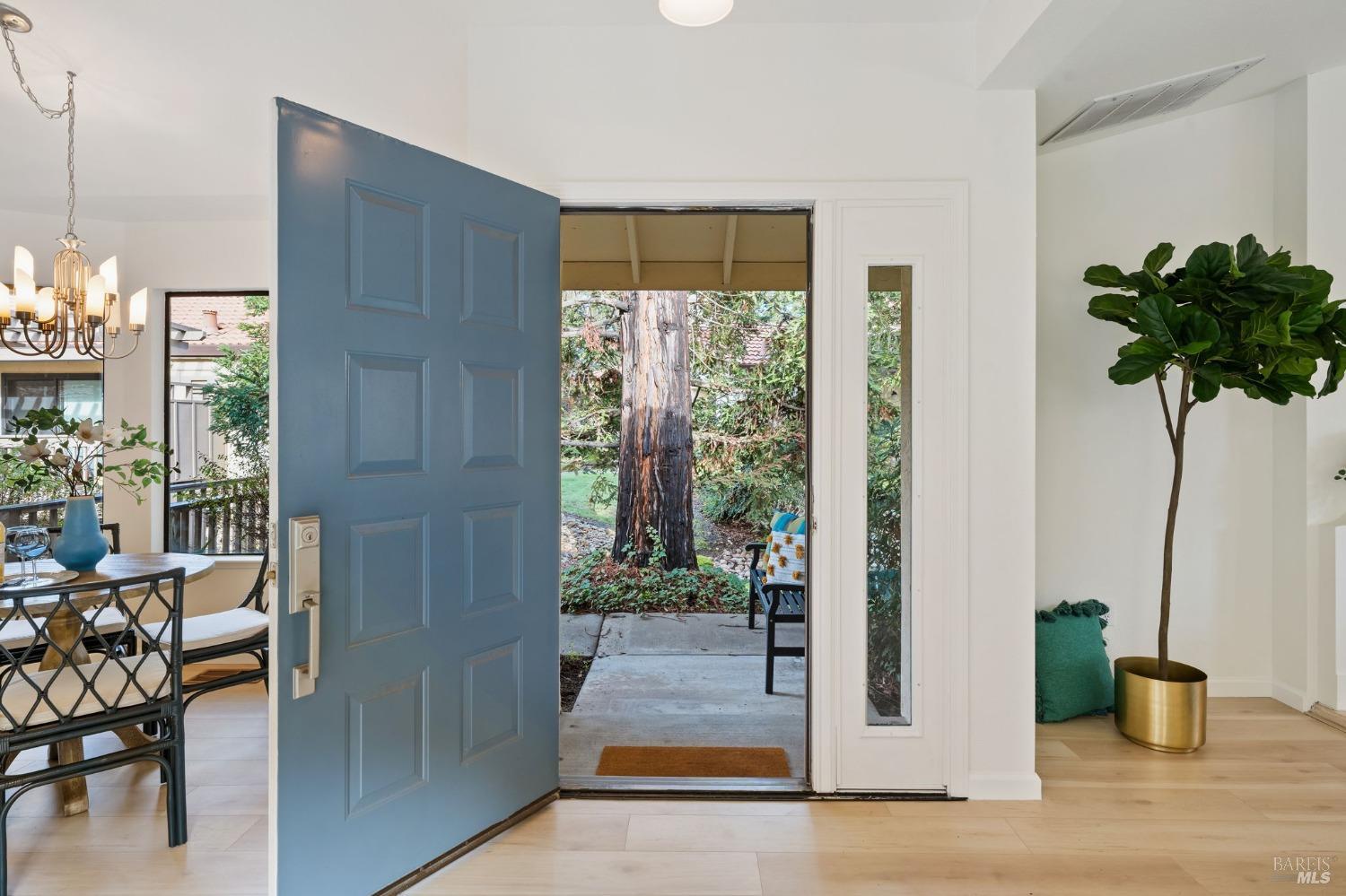 55 Fountain Grove Circle