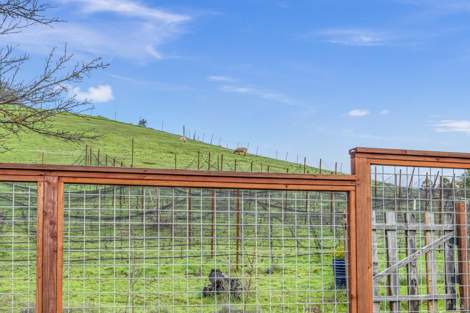 1036 Stonebridge Drive