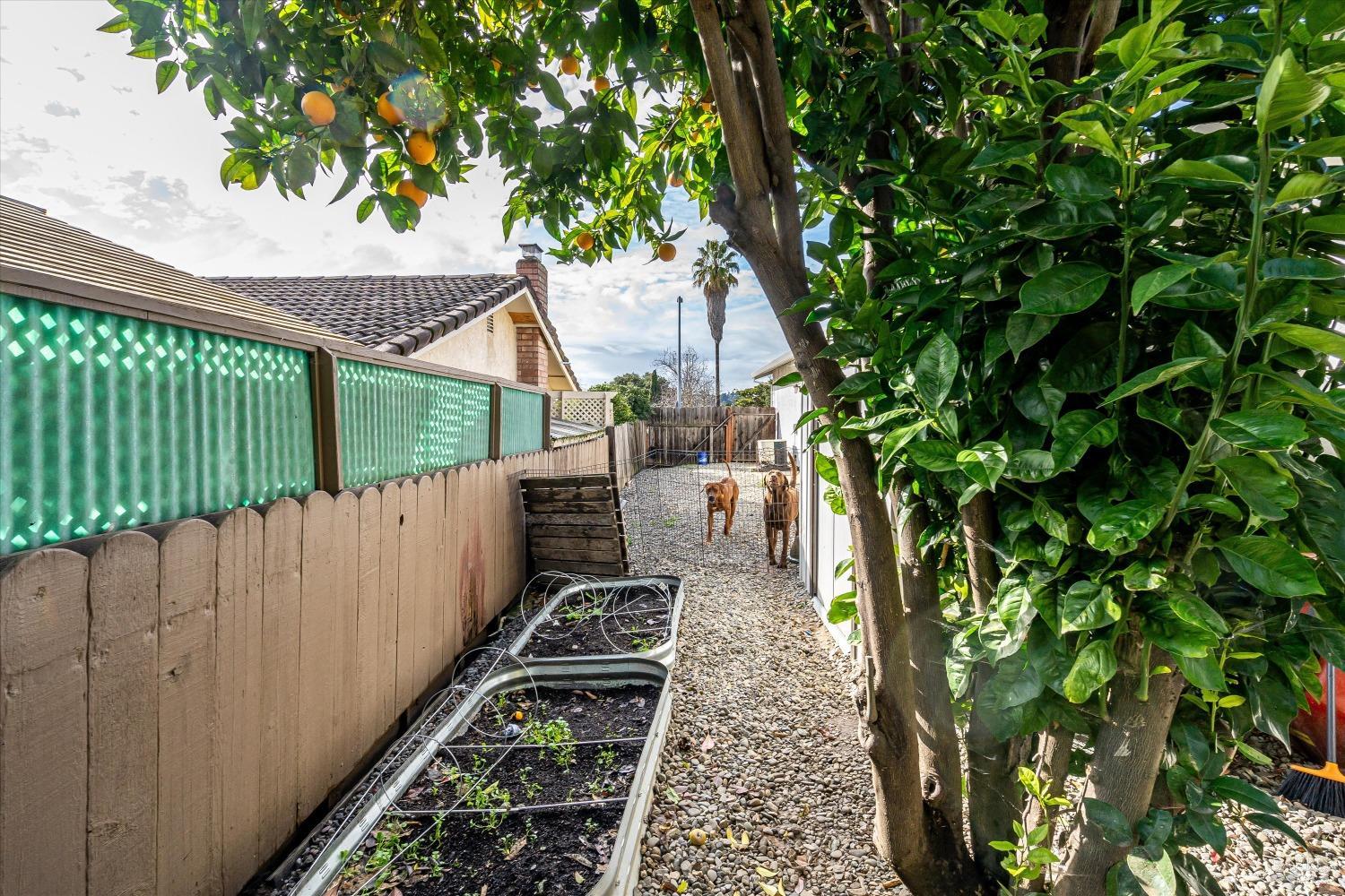 420 N Camino Alto Street