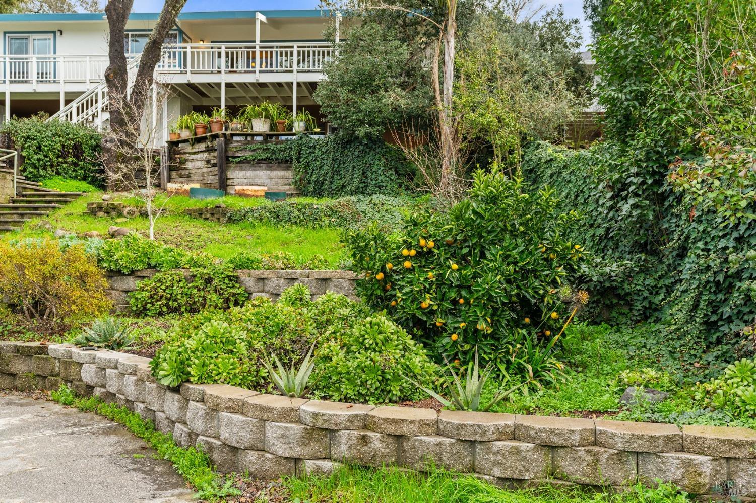 10 Chapel Hill Drive