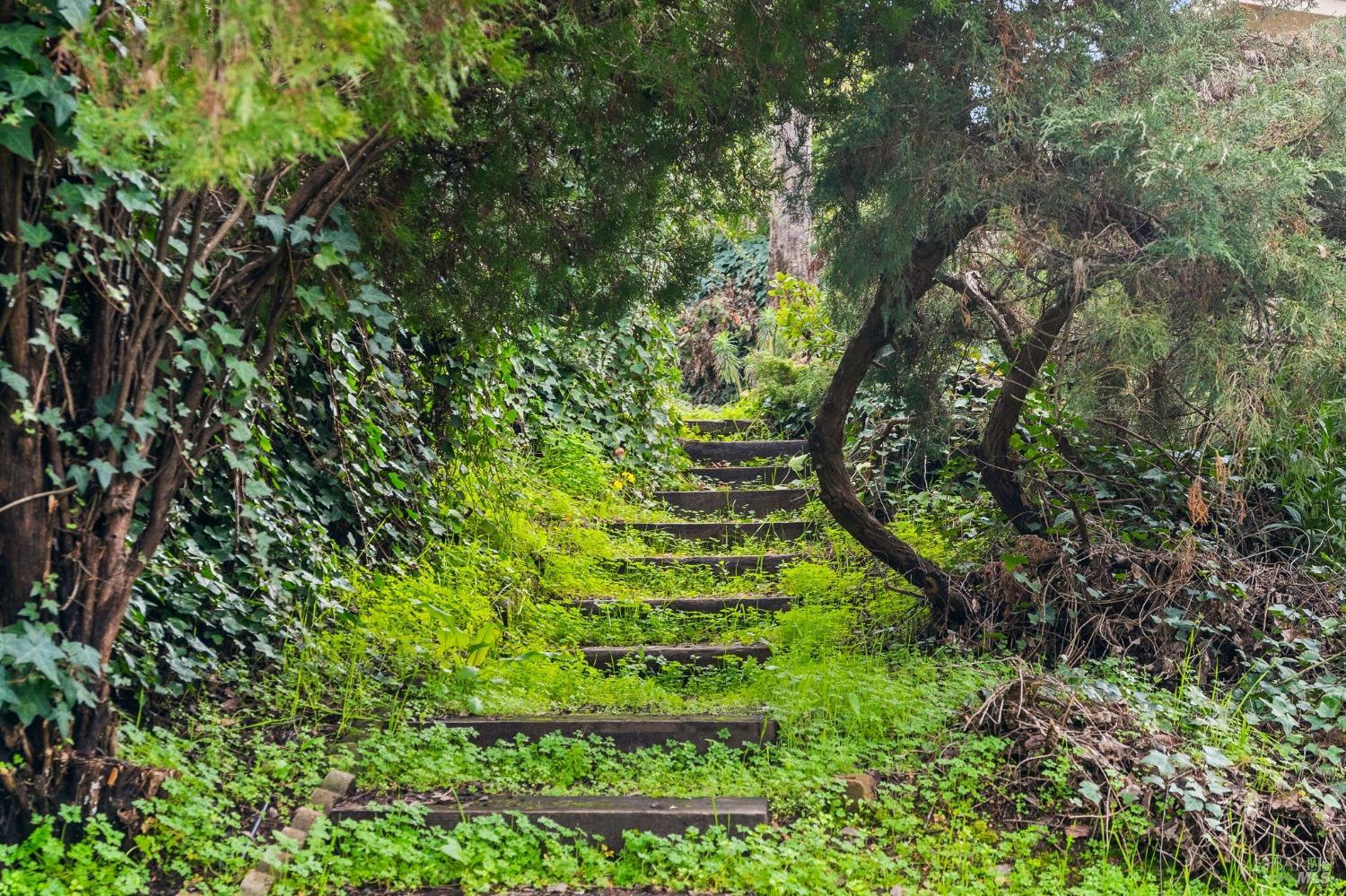 10 Chapel Hill Drive