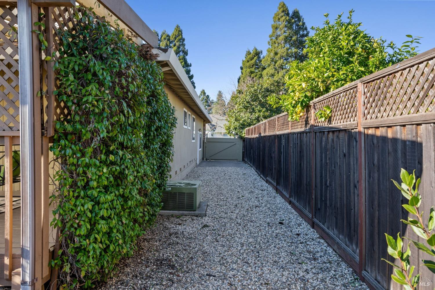 2419 Vine Hill Drive