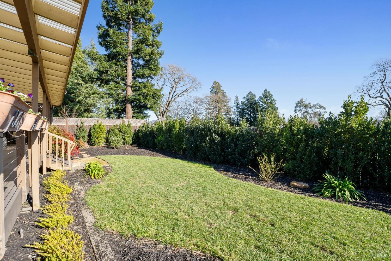 2419 Vine Hill Drive