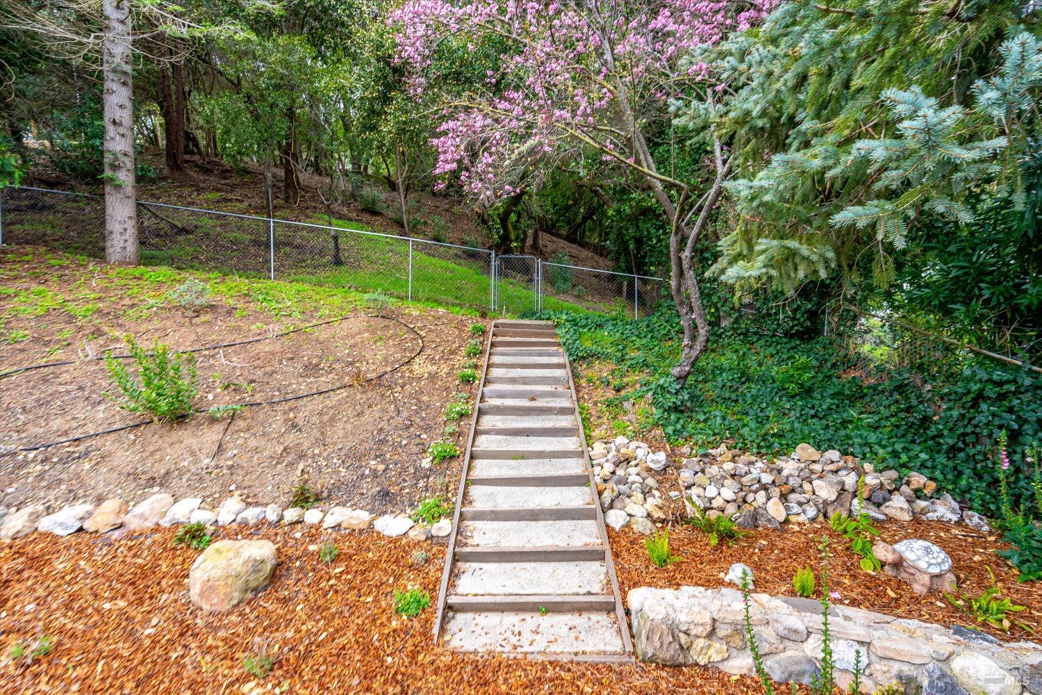 2965 Brookwood Drive