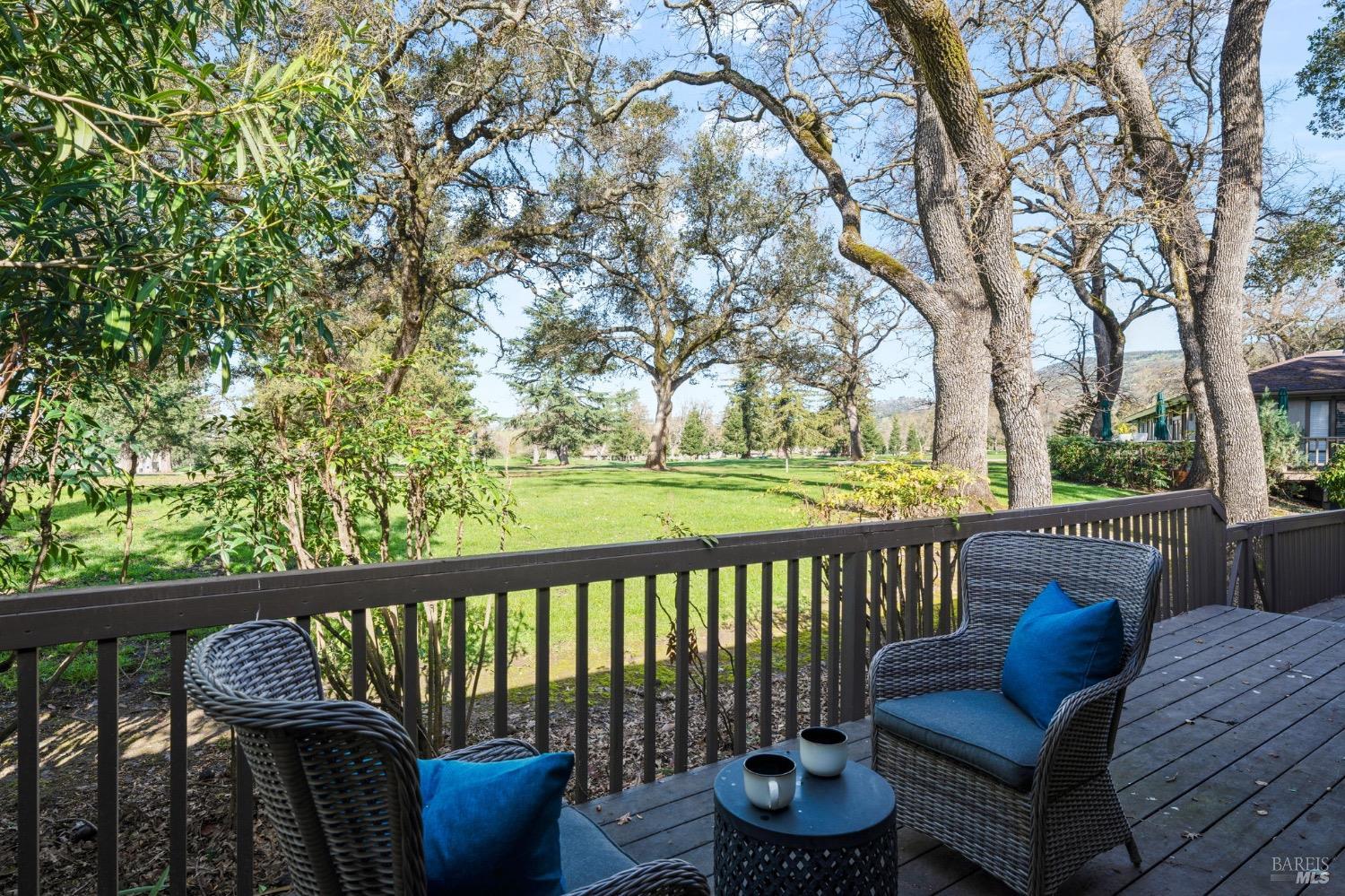 163 Milliken Creek Dr