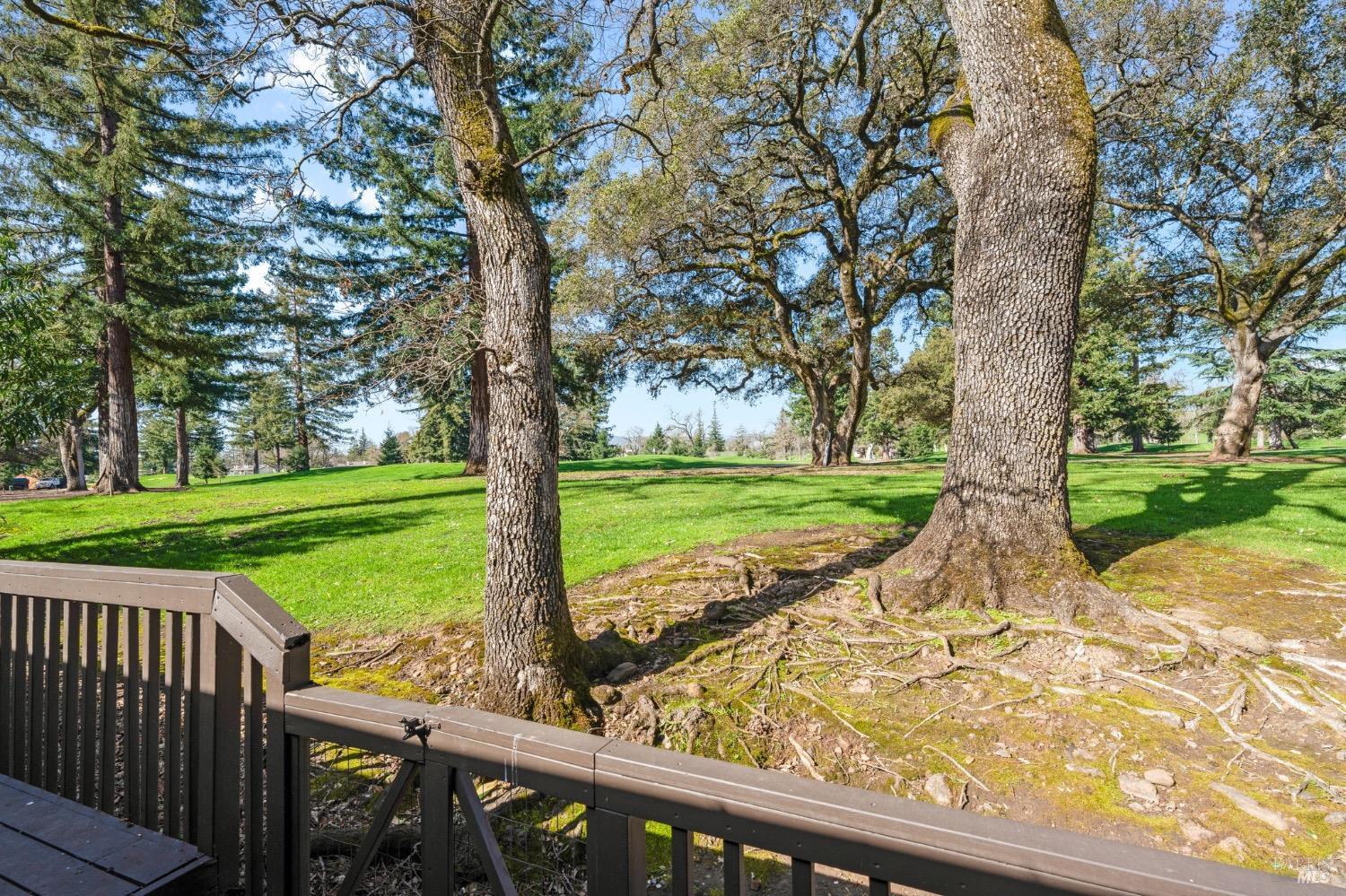 163 Milliken Creek Dr