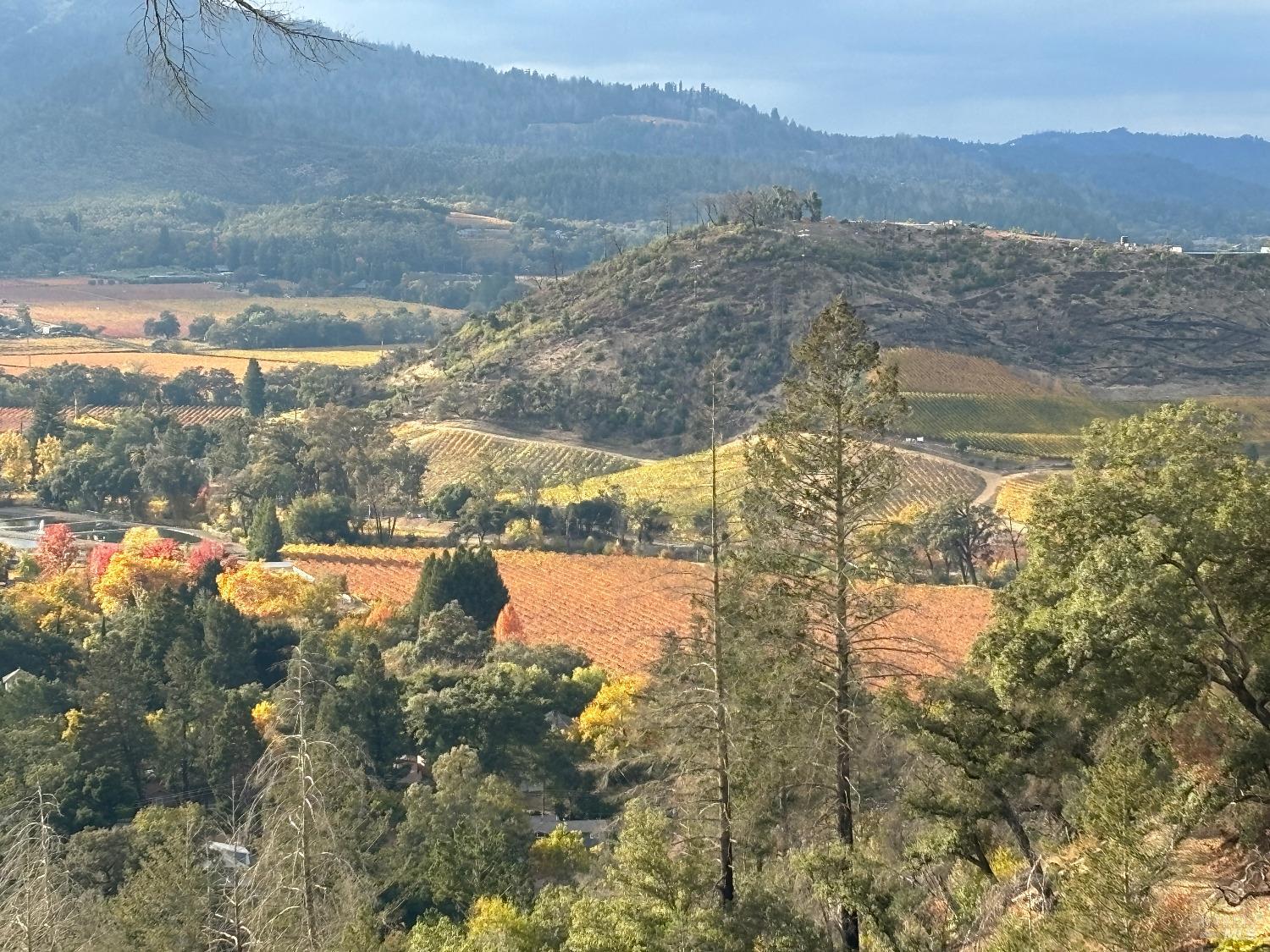 566 Community Hall Ln