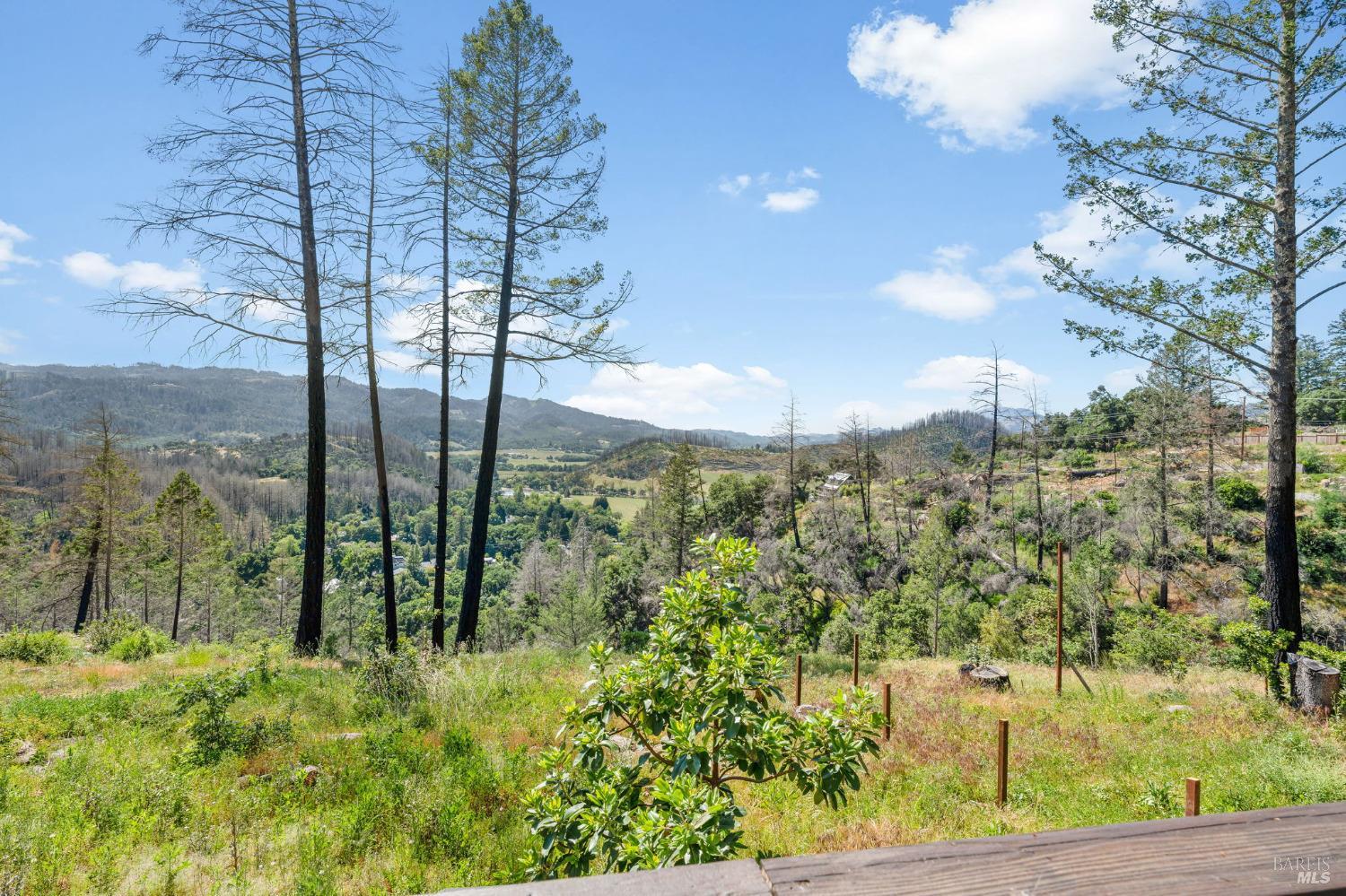 566 Community Hall Ln