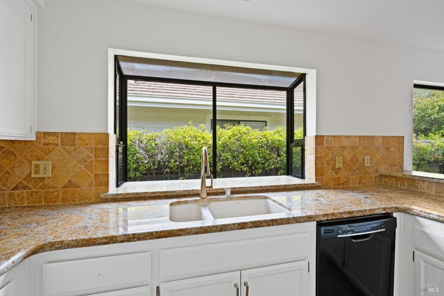 210 Silverado Springs Dr