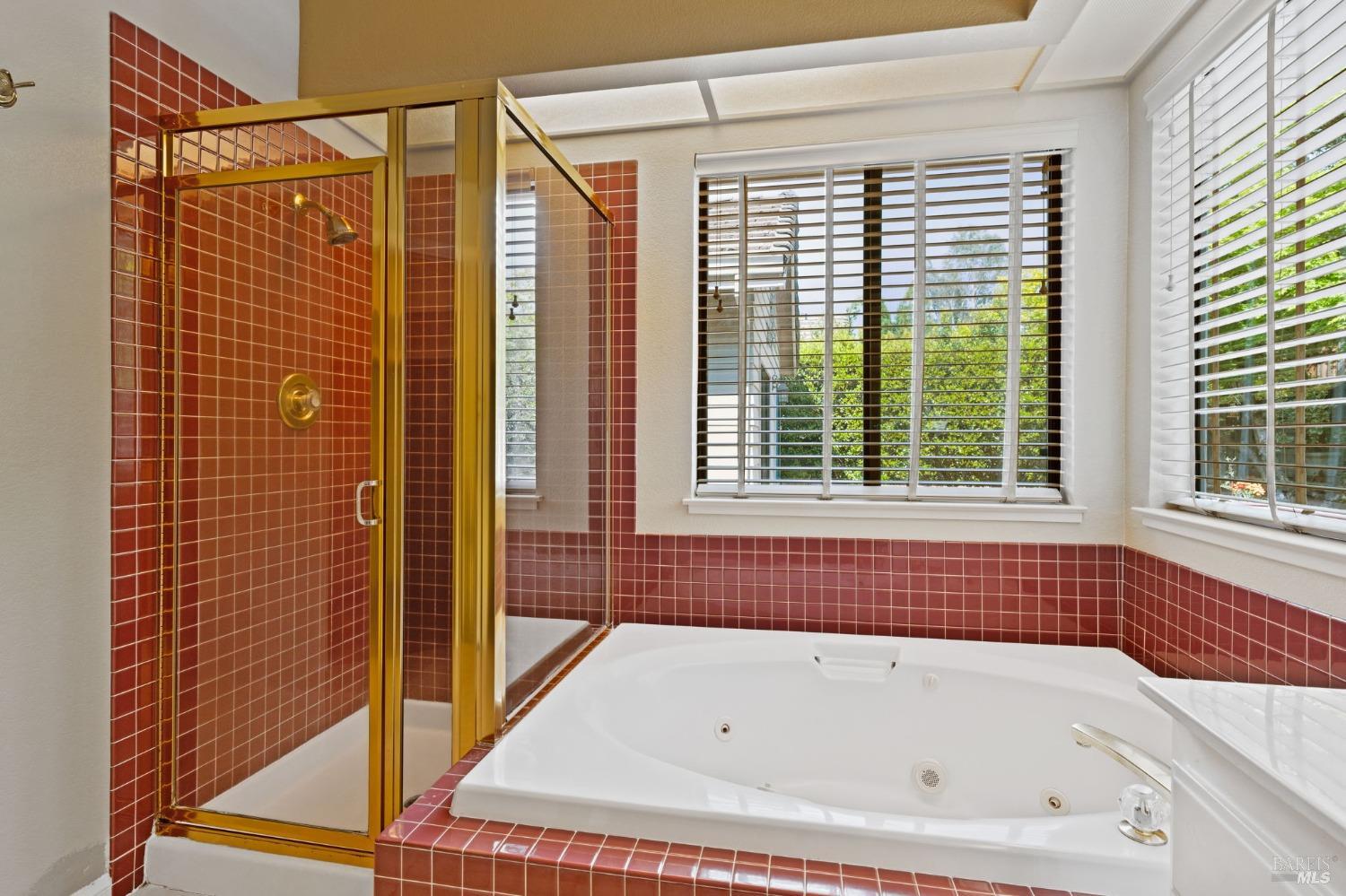 210 Silverado Springs Dr