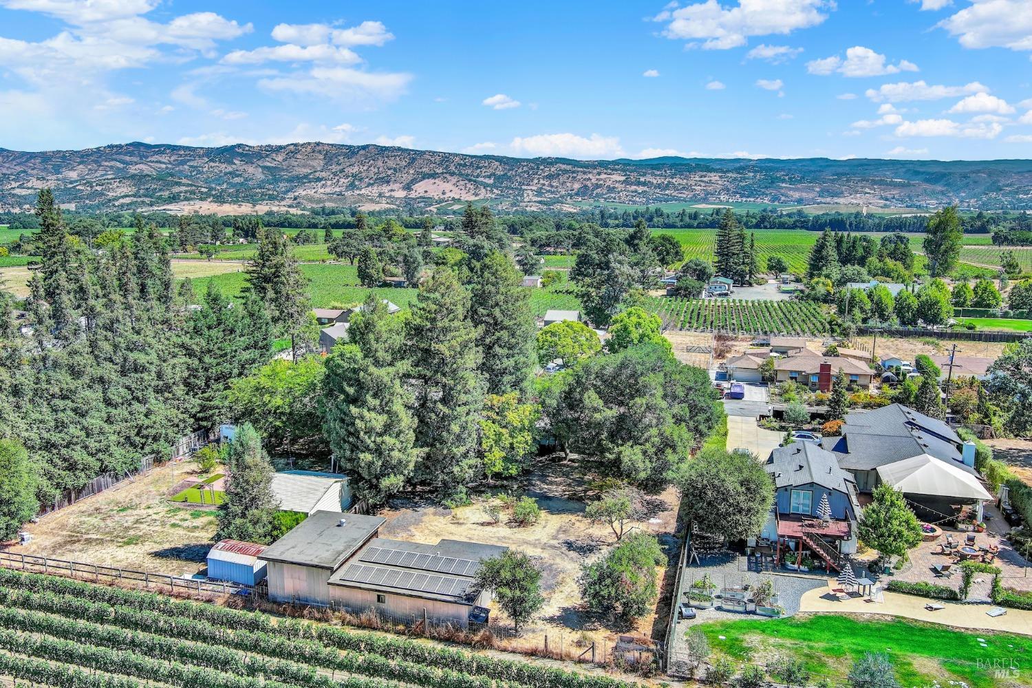 3123 Sunnydale Drive