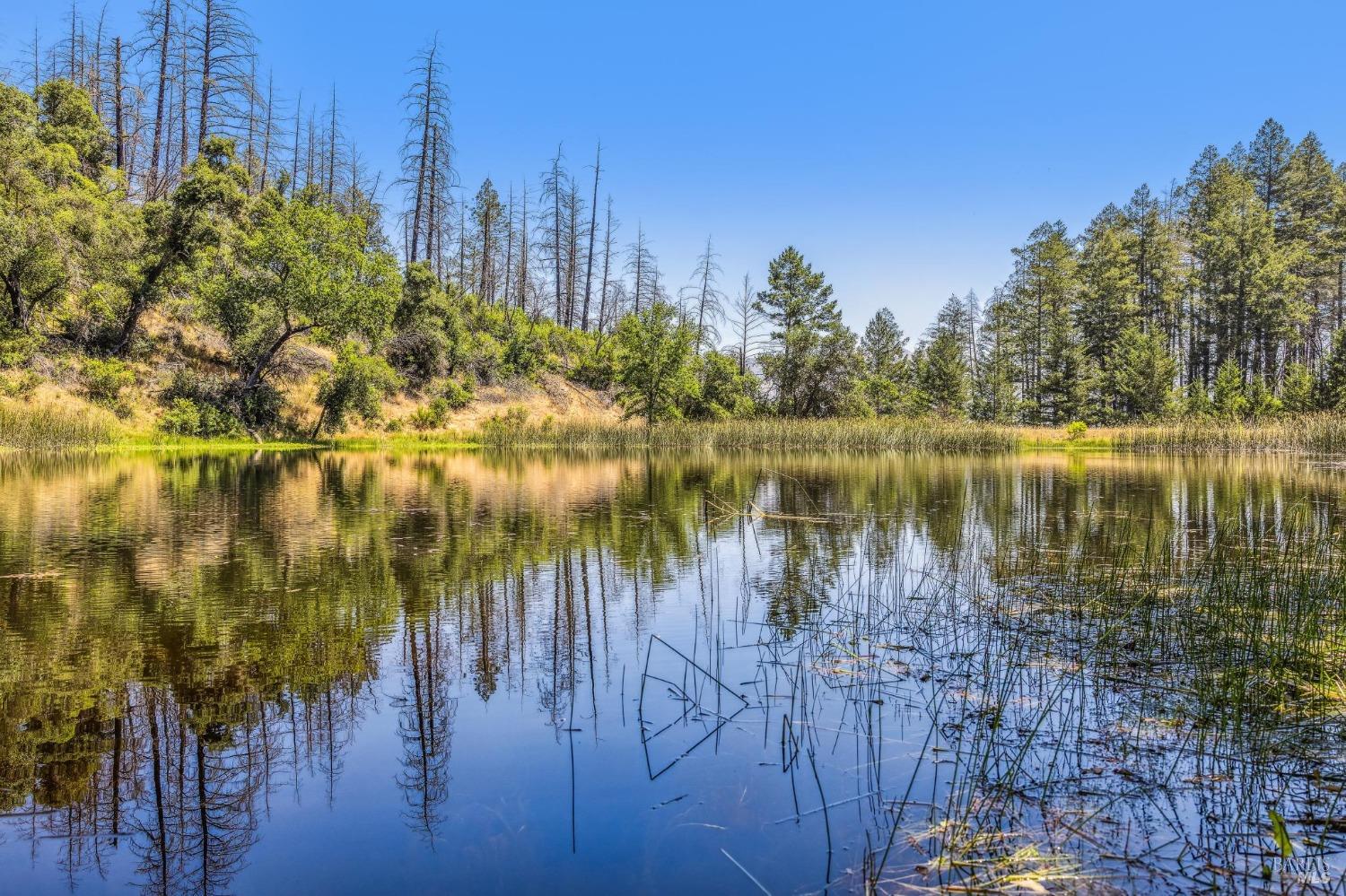 3567 State Highway 128