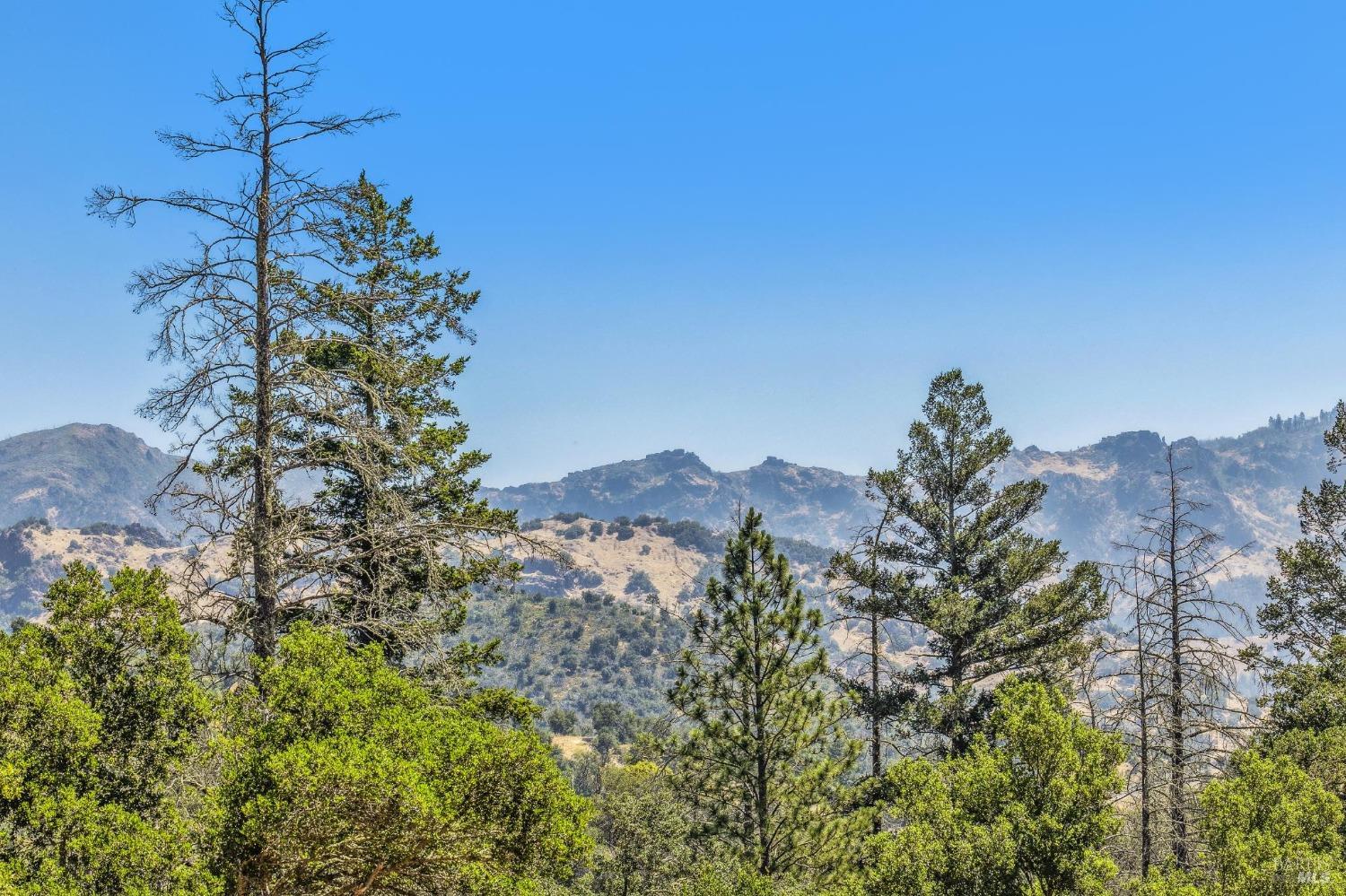 3567 State Highway 128