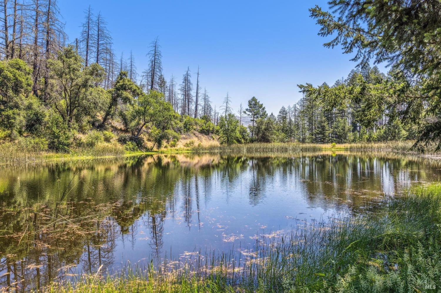 3567 State Highway 128