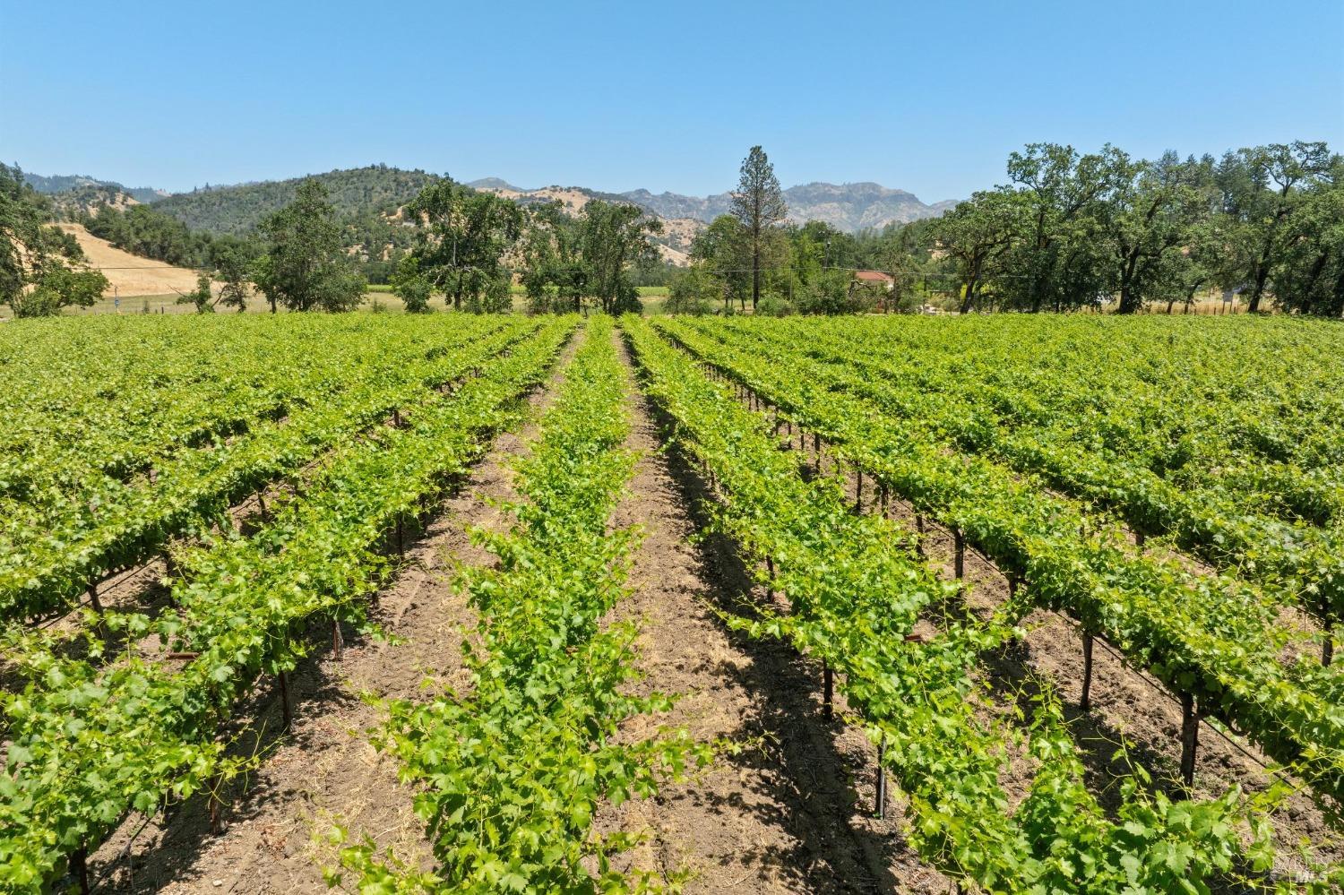 3567 State Highway 128