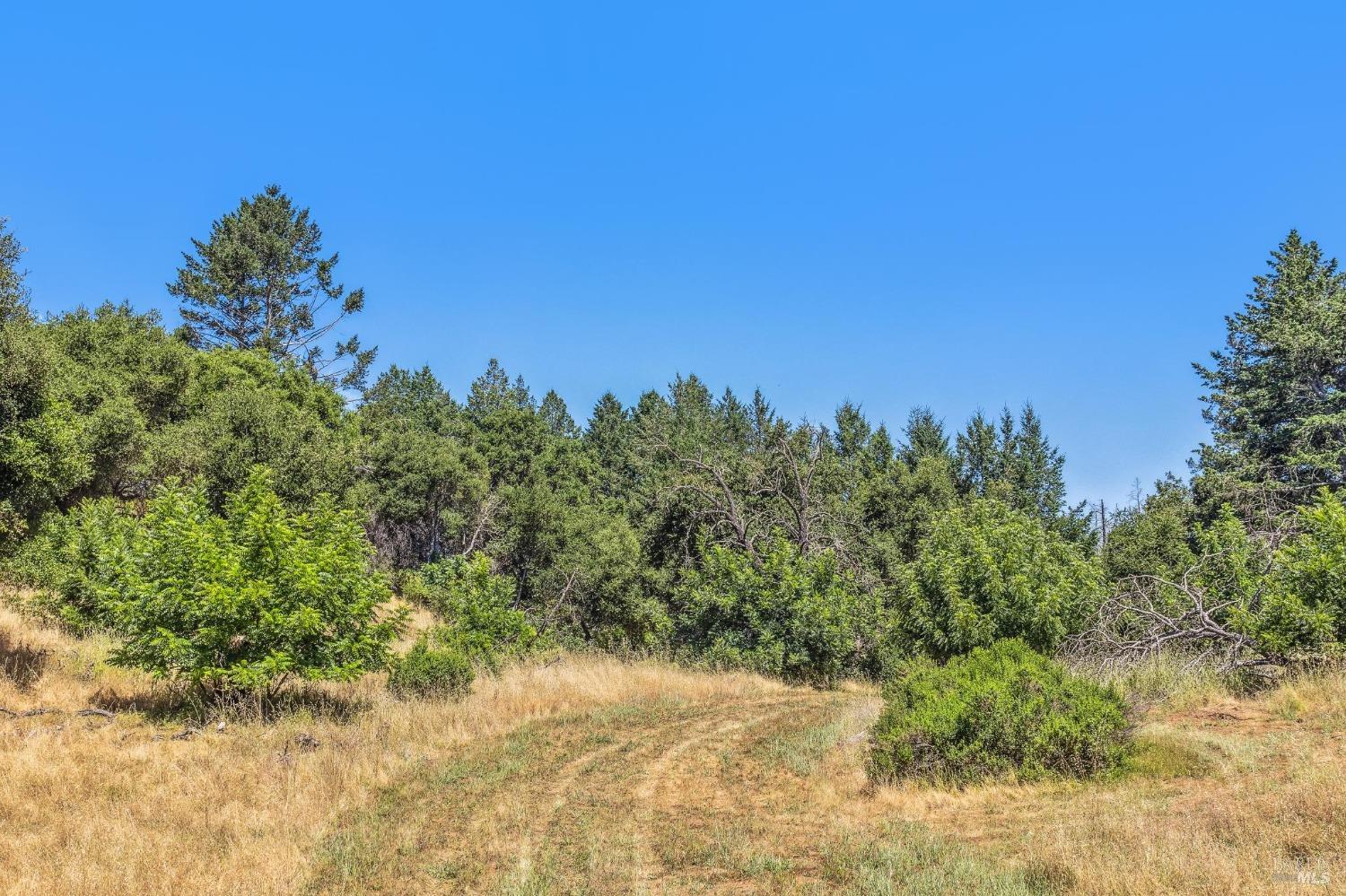 3567 State Highway 128