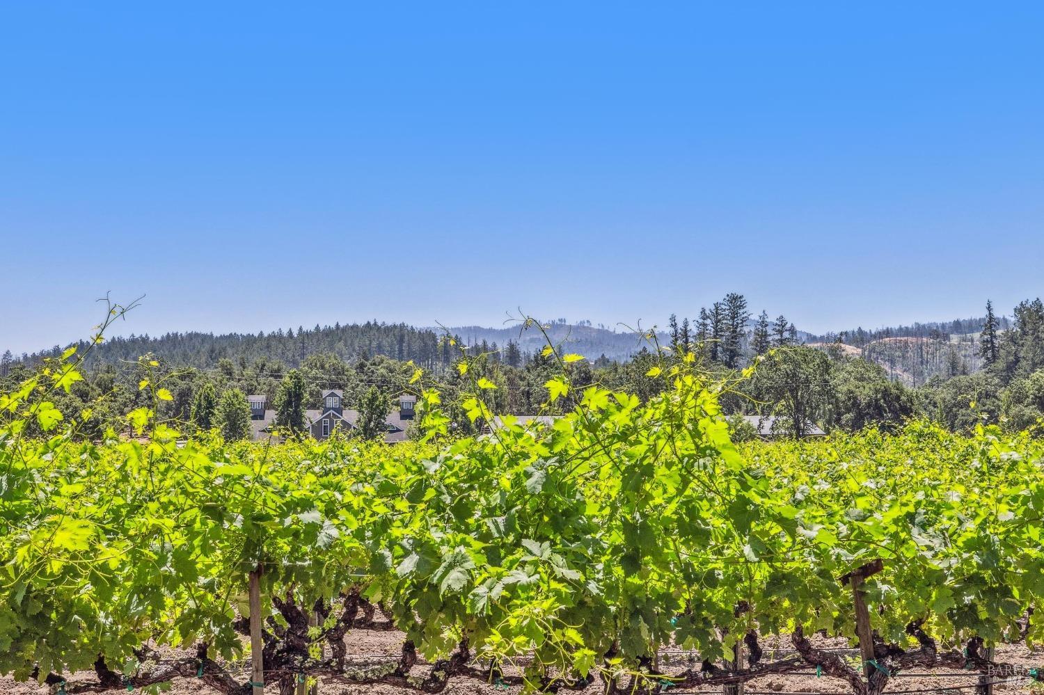 3567 State Highway 128