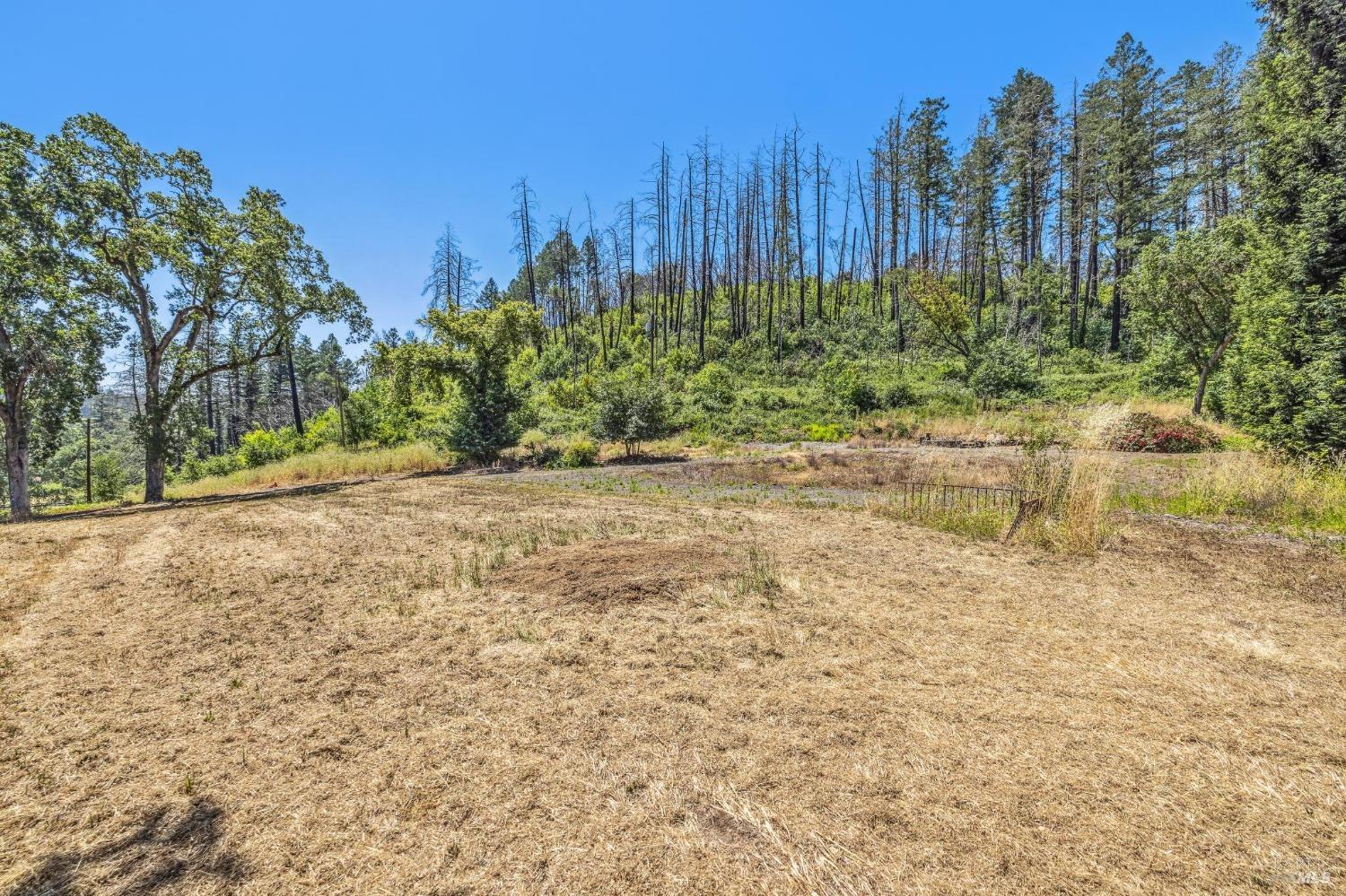 3567 State Highway 128