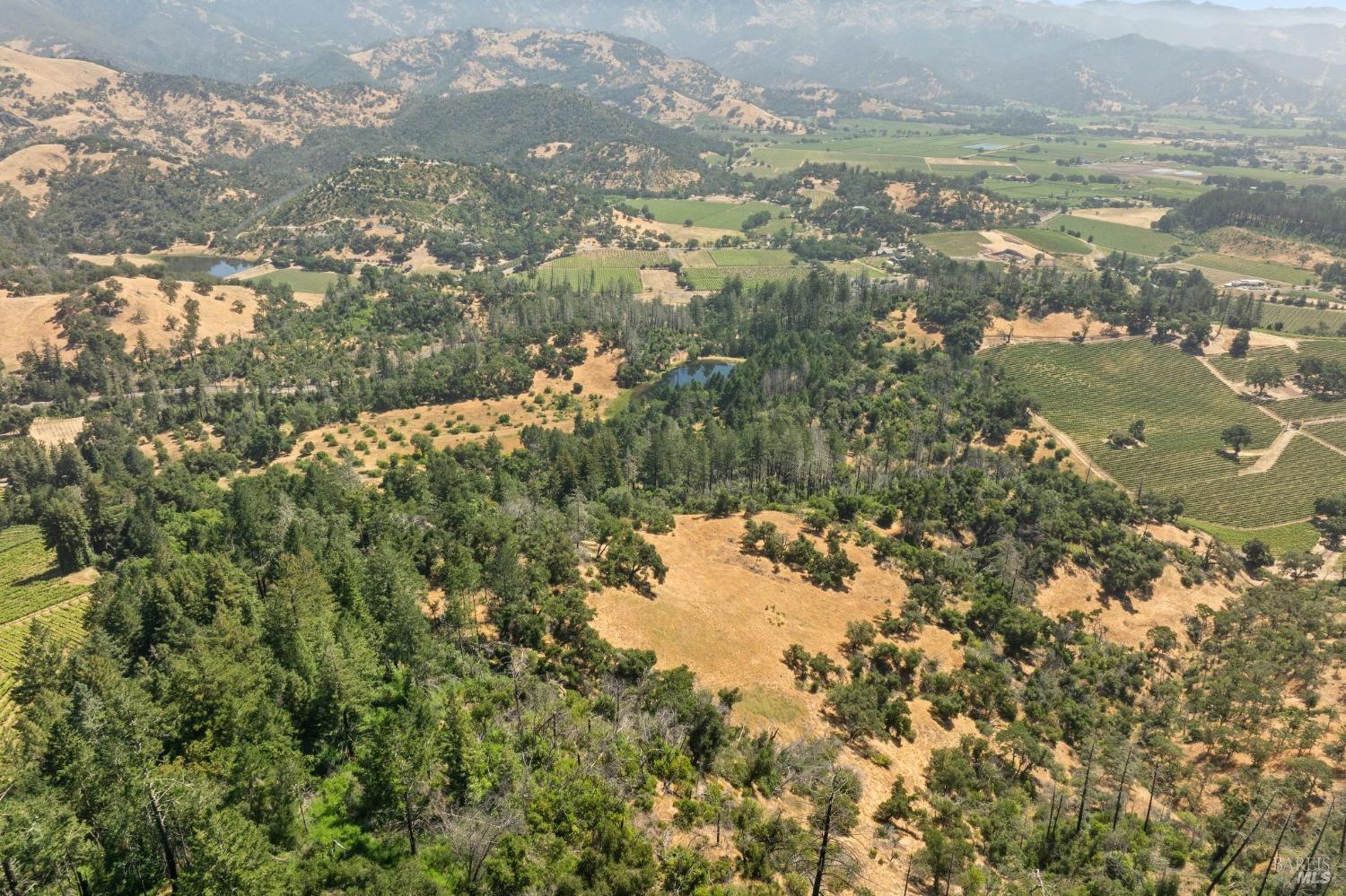 3567 State Highway 128