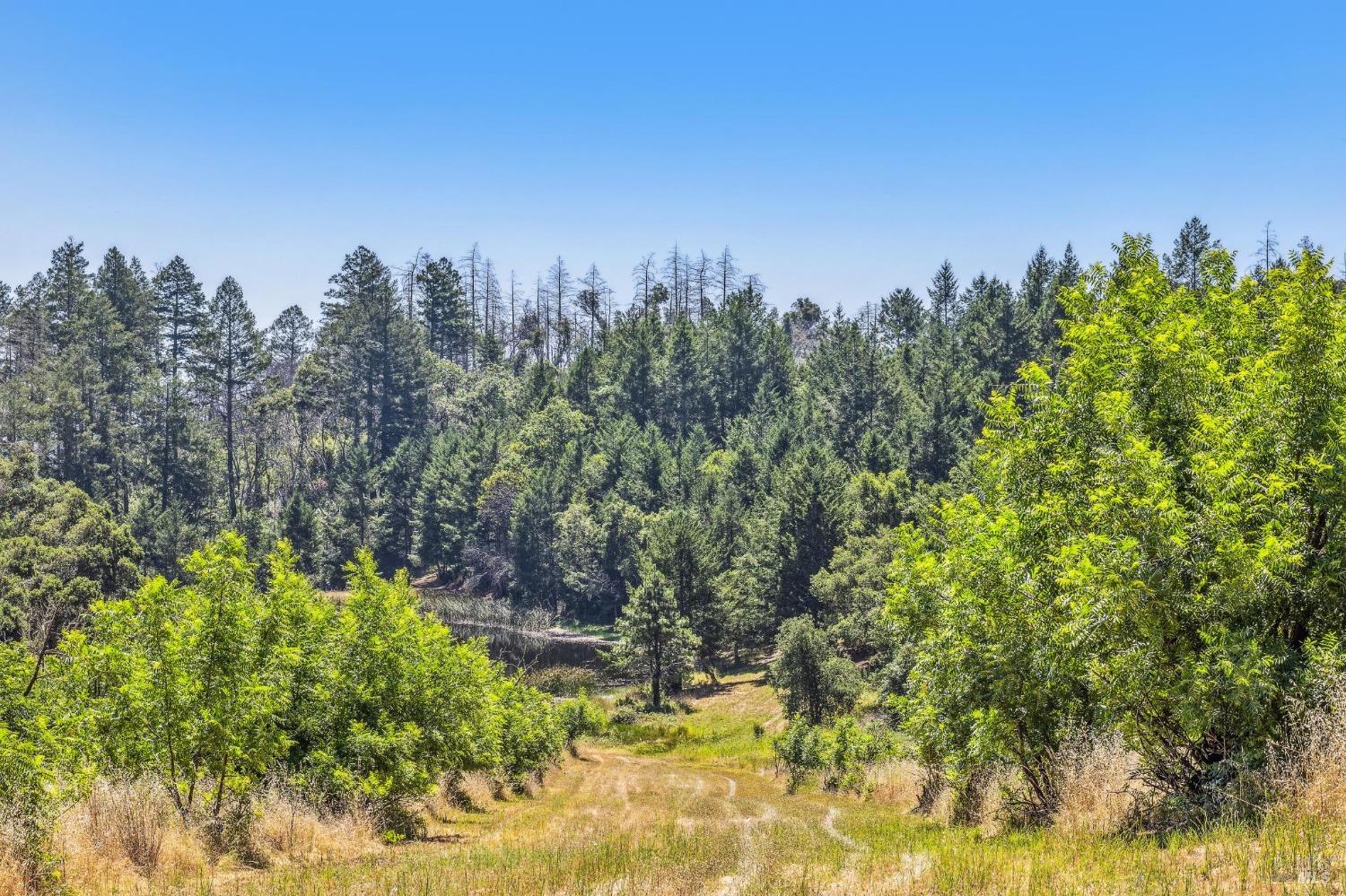 3567 State Highway 128