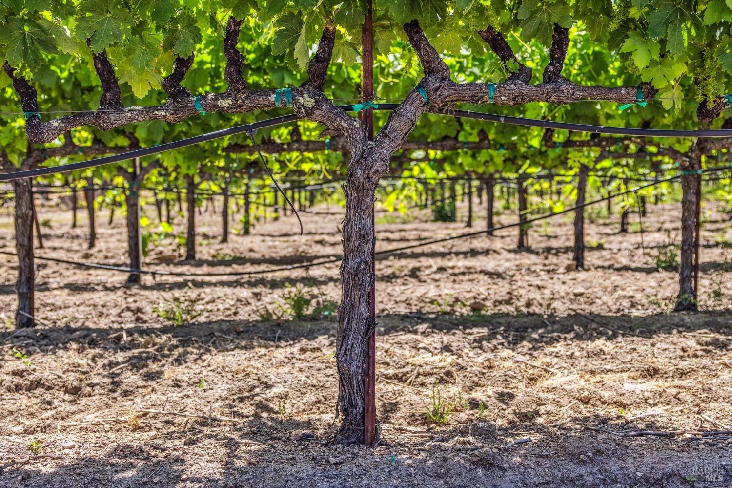 3567 State Highway 128