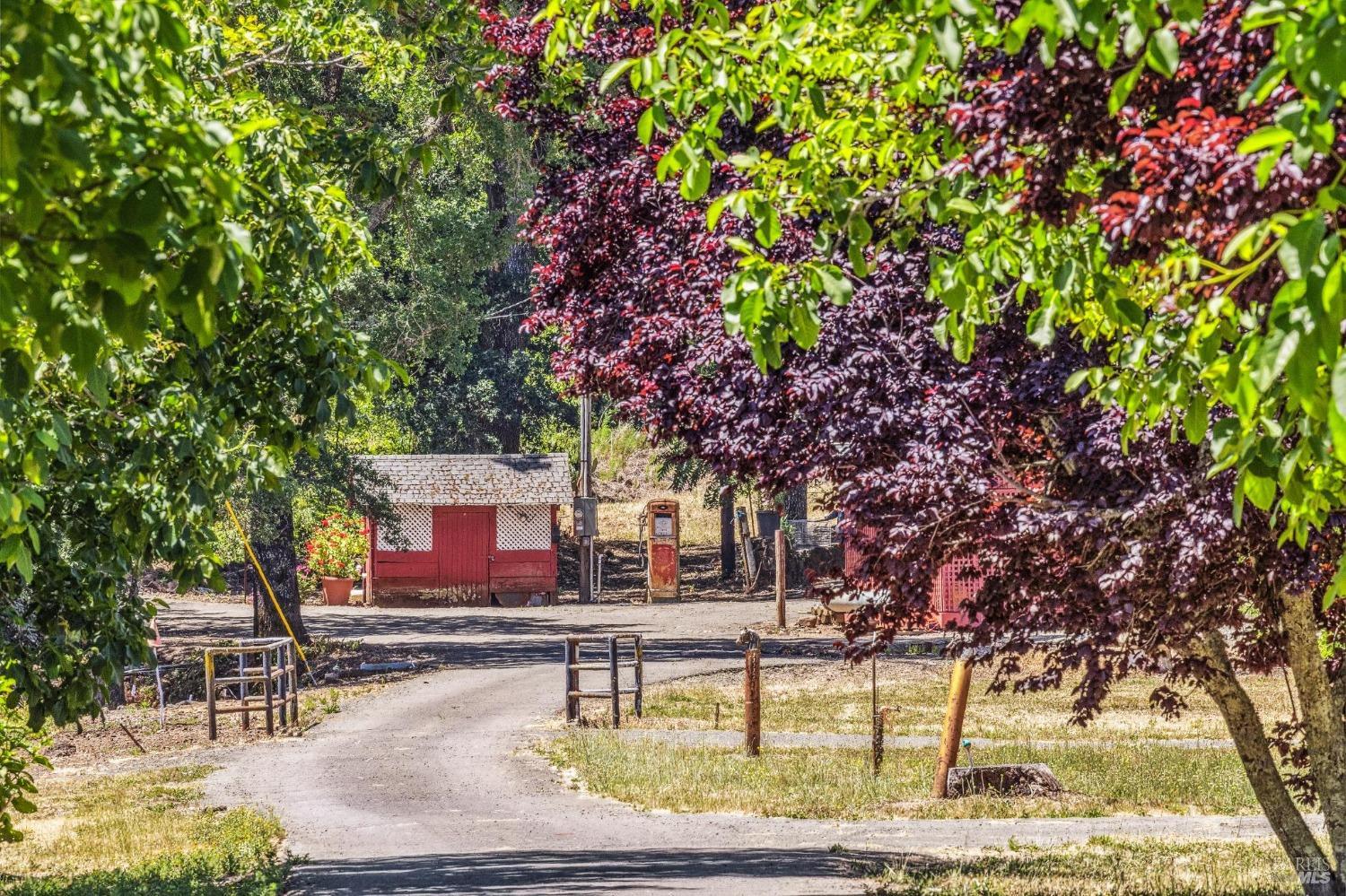 3567 State Highway 128