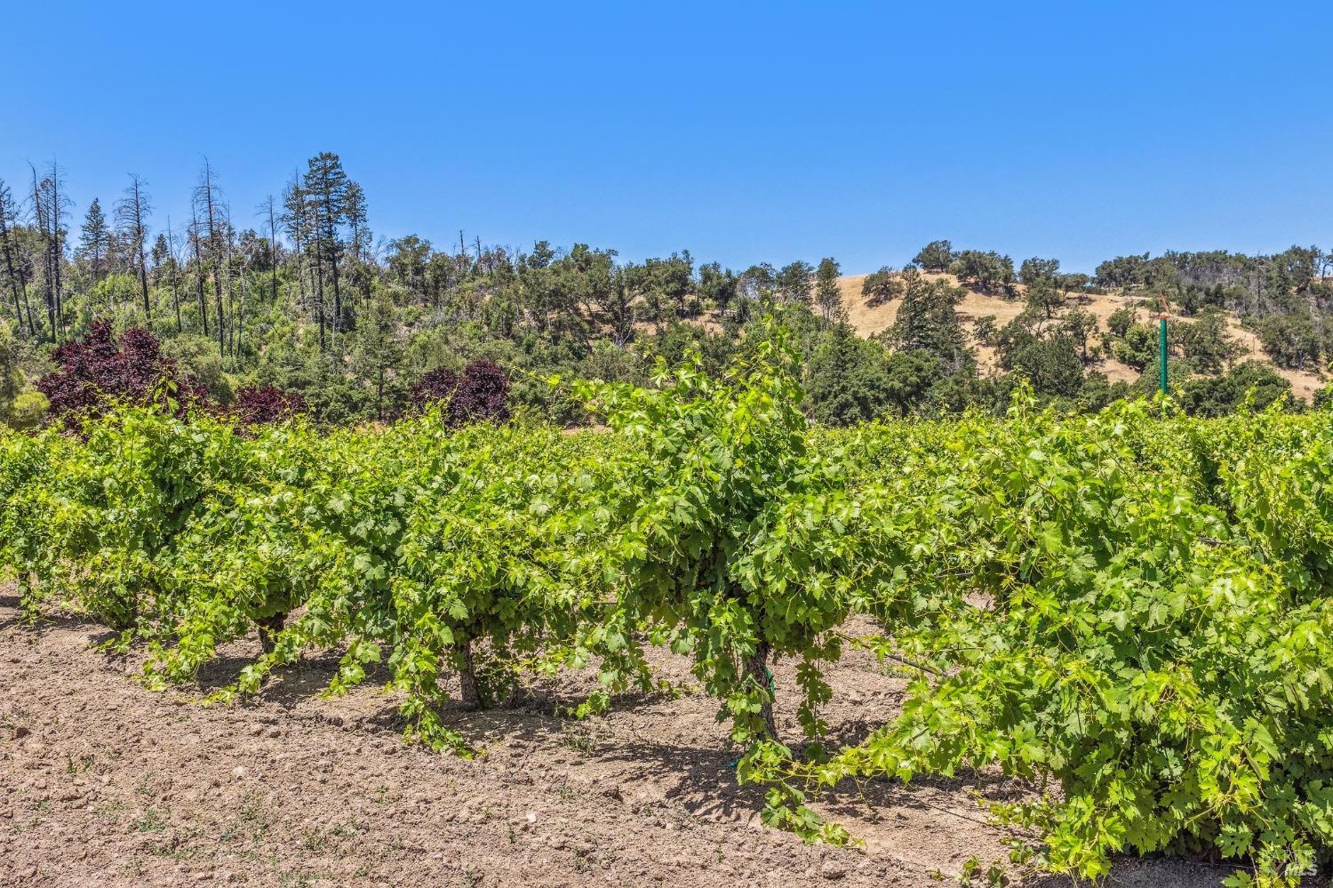 3567 State Highway 128