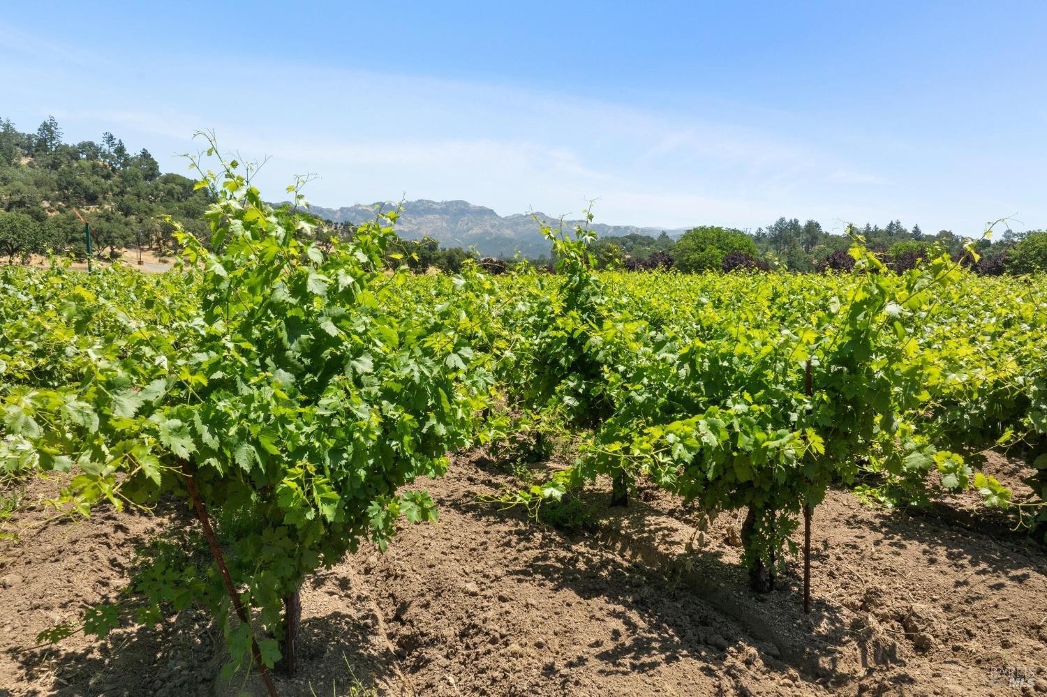 3567 State Highway 128