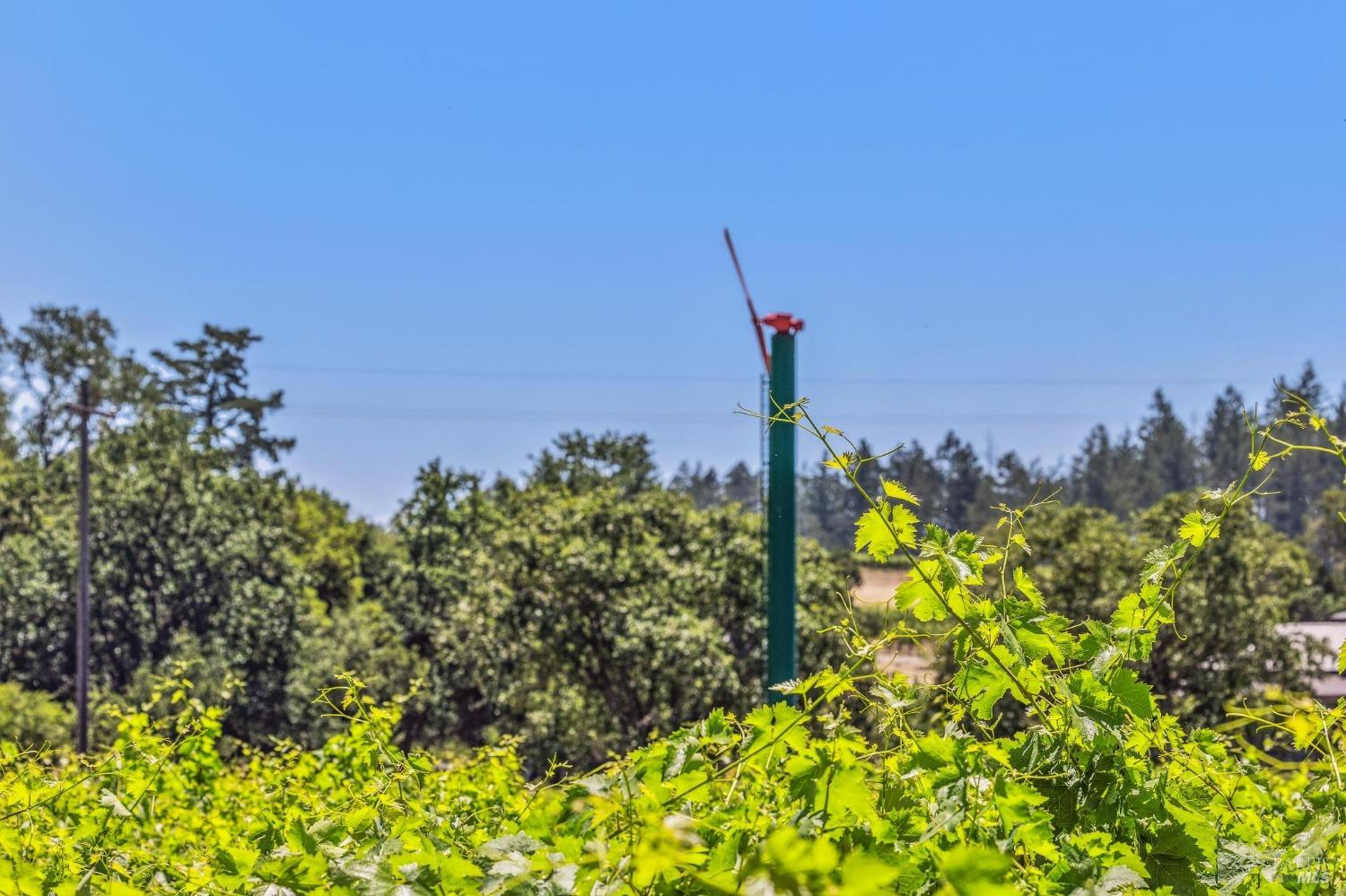 3567 State Highway 128