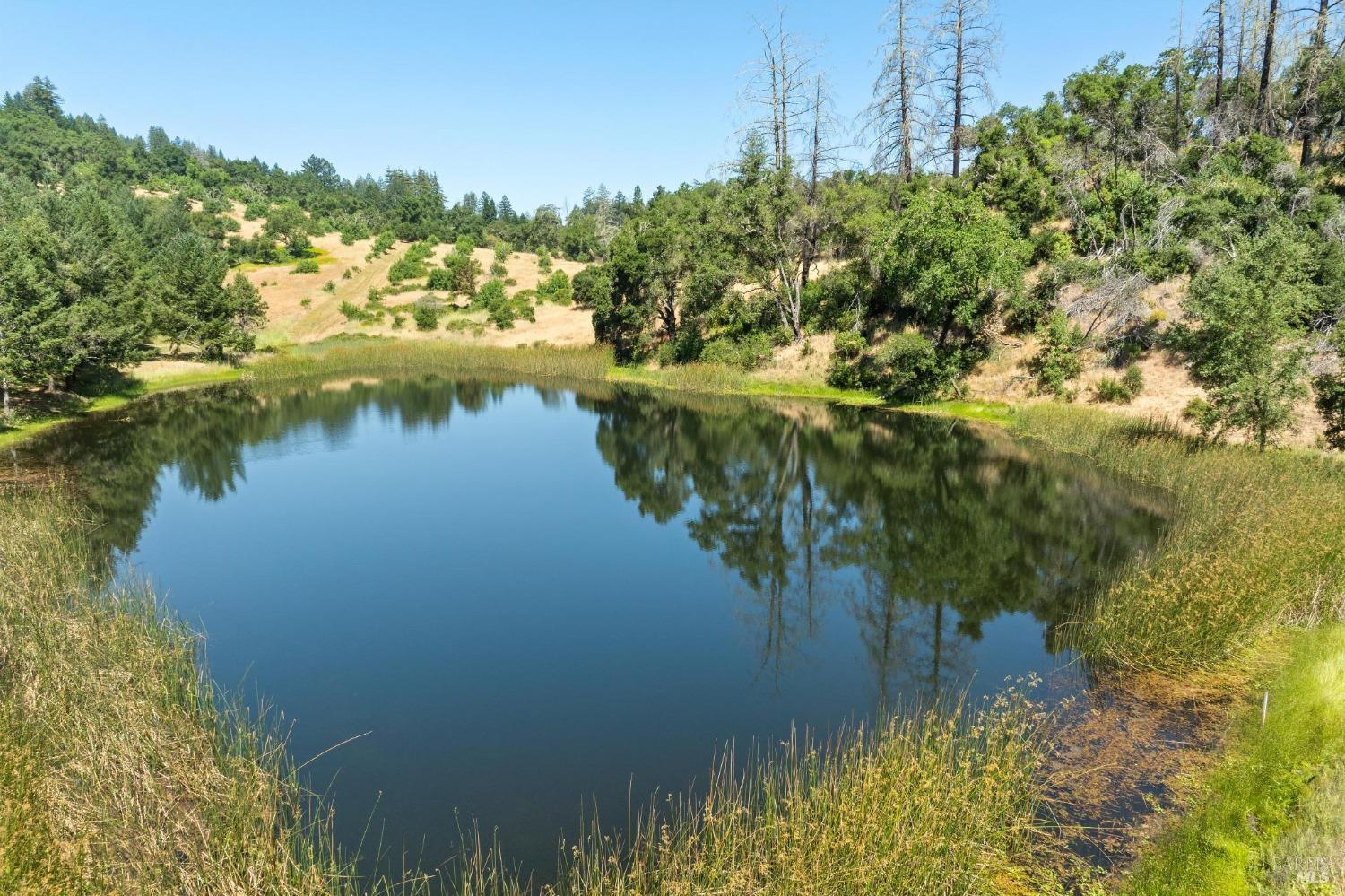 3567 State Highway 128