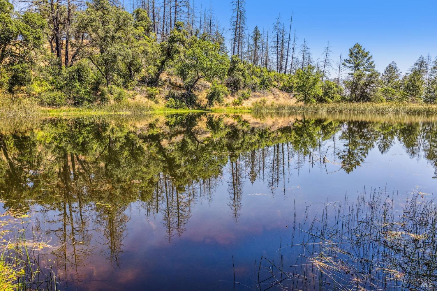 3567 State Highway 128