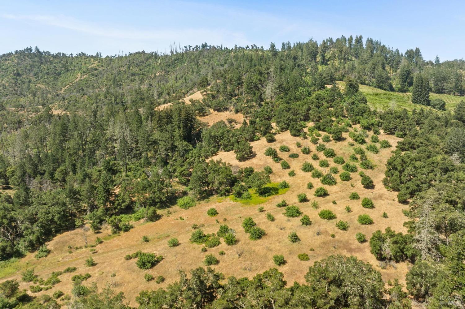 3567 State Highway 128