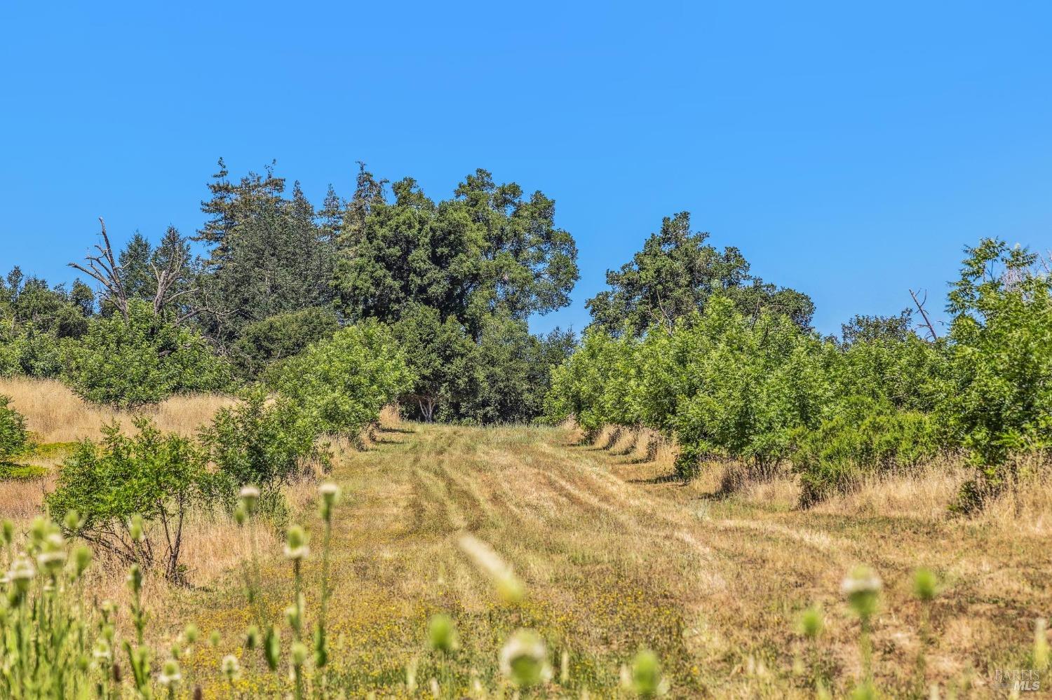 3567 State Highway 128