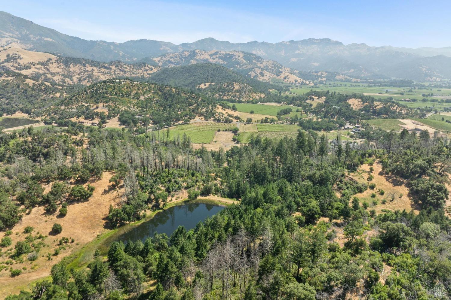 3567 State Highway 128