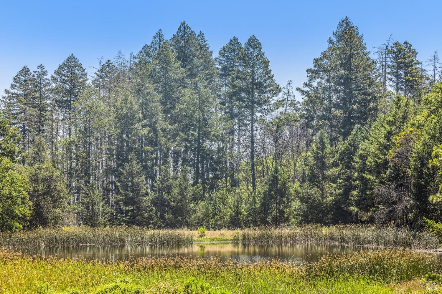 3567 State Highway 128