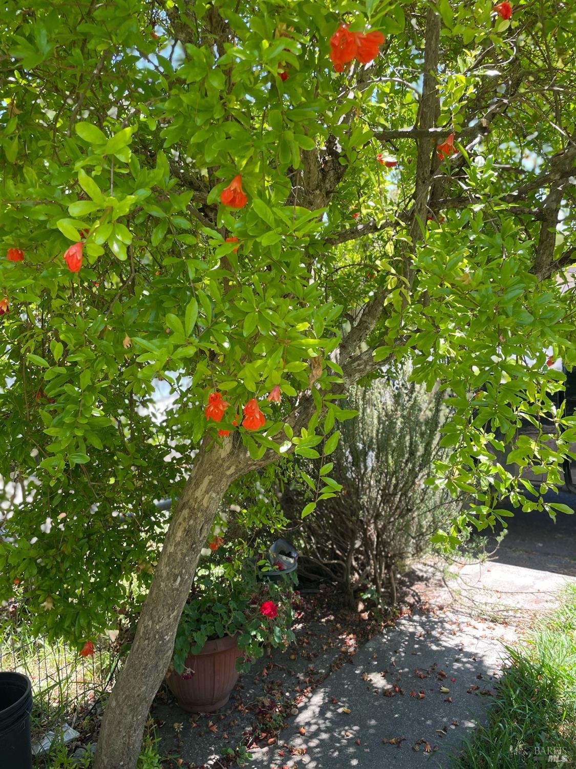 2164 Ethel Porter Dr