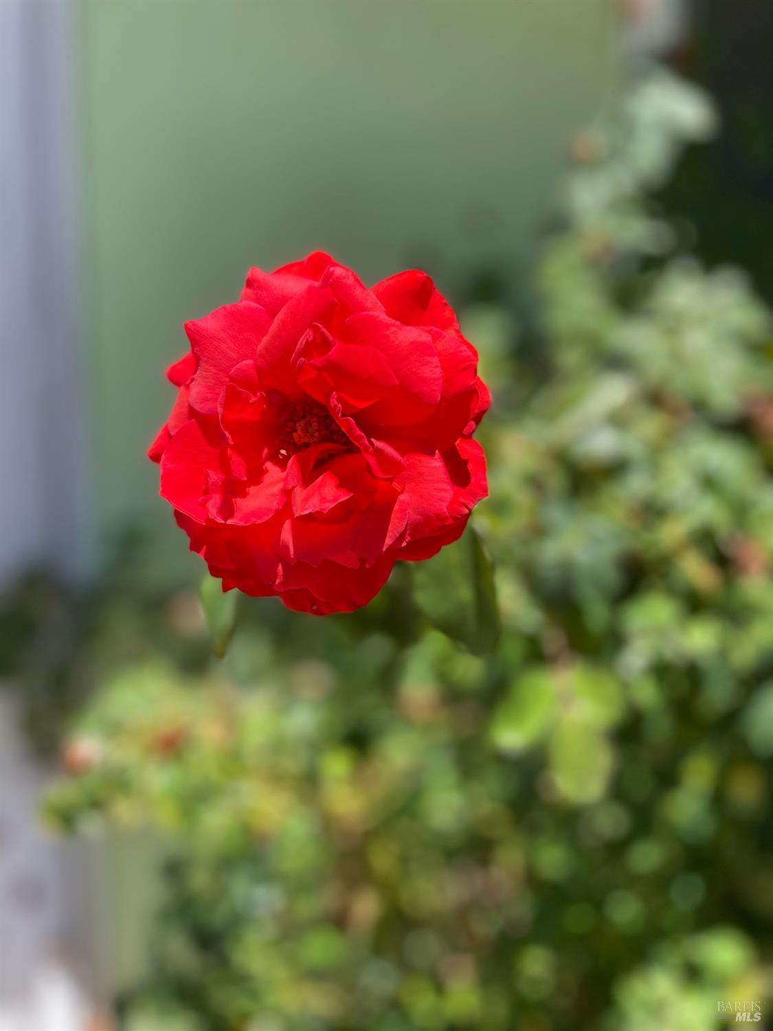 2164 Ethel Porter Dr